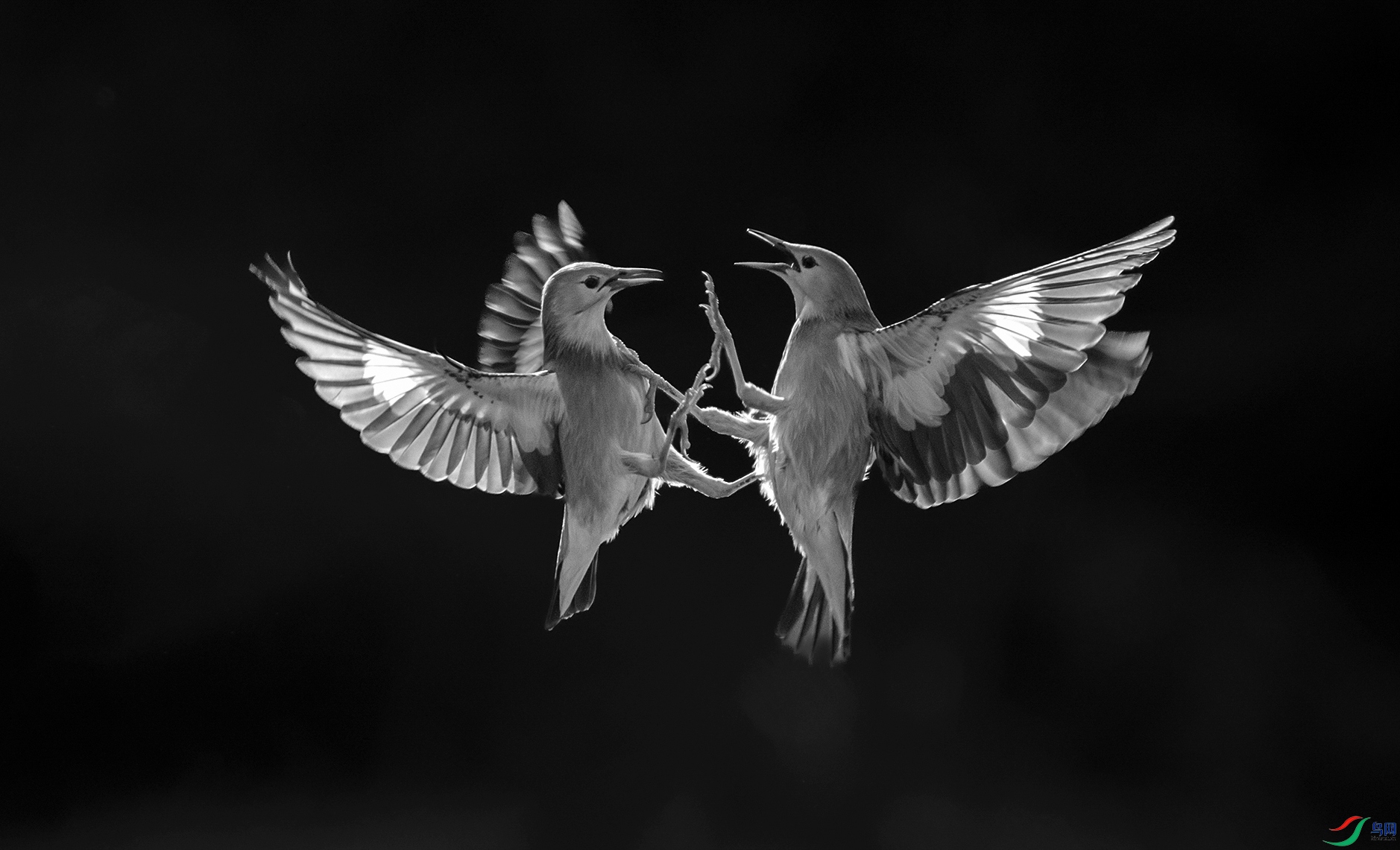 DSC_3665 ����z ����xx ����z.jpg