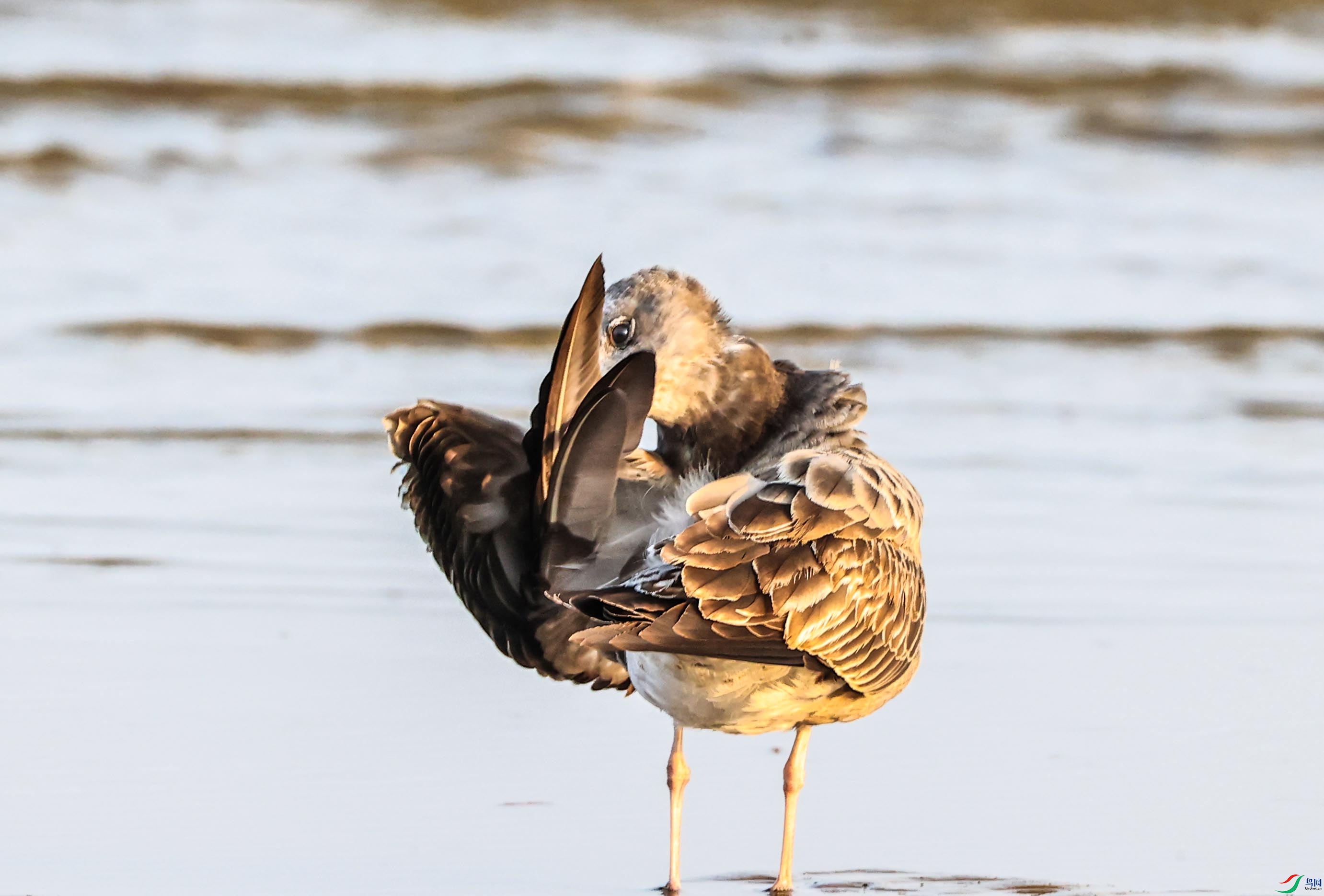 ��ë������������ ����.jpg