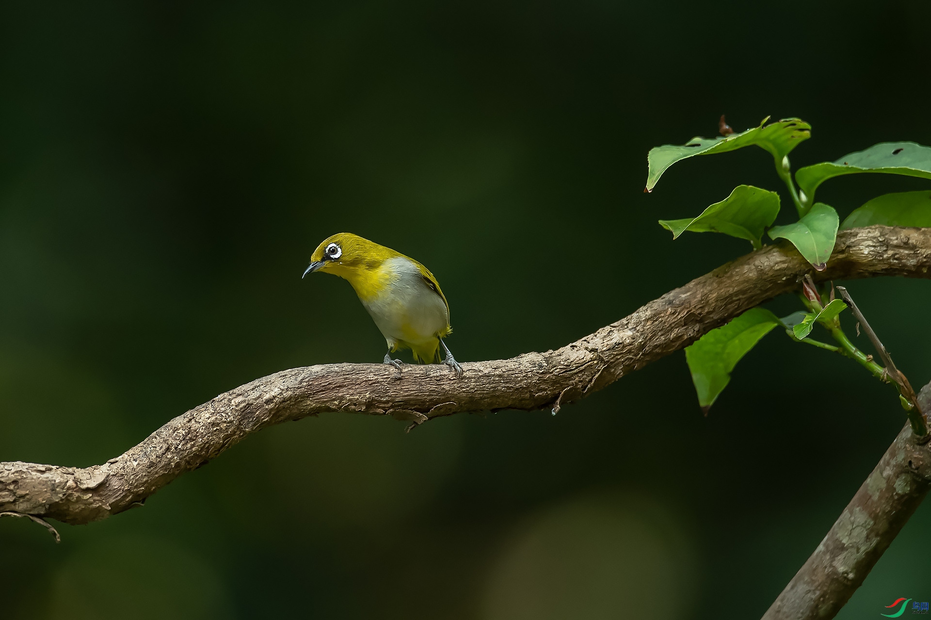 DSC_9064.jpg