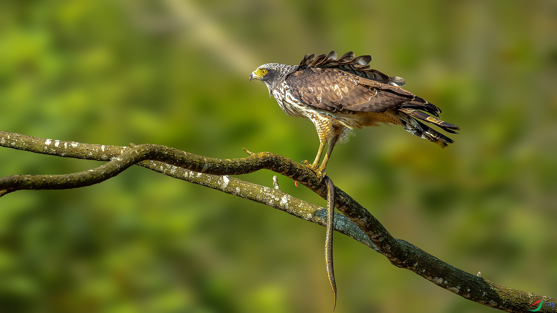 DSC_8252-����ǿ-NR.jpg