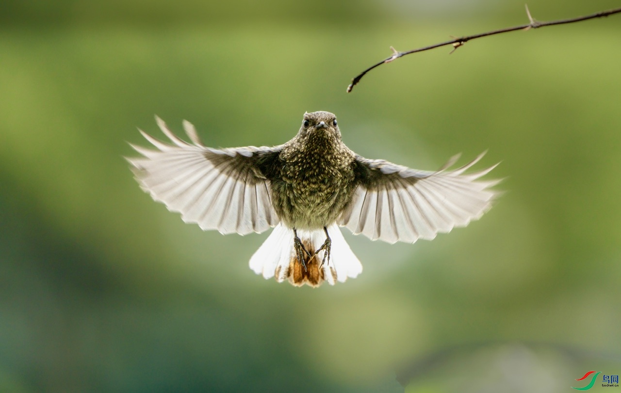 DSC07492-����ǿ ����.jpeg