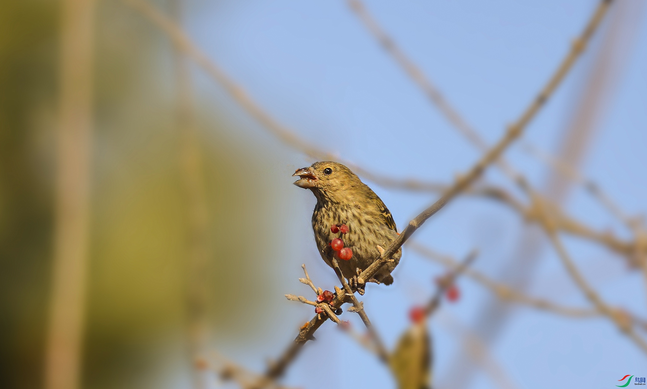 DSC_0364.jpg