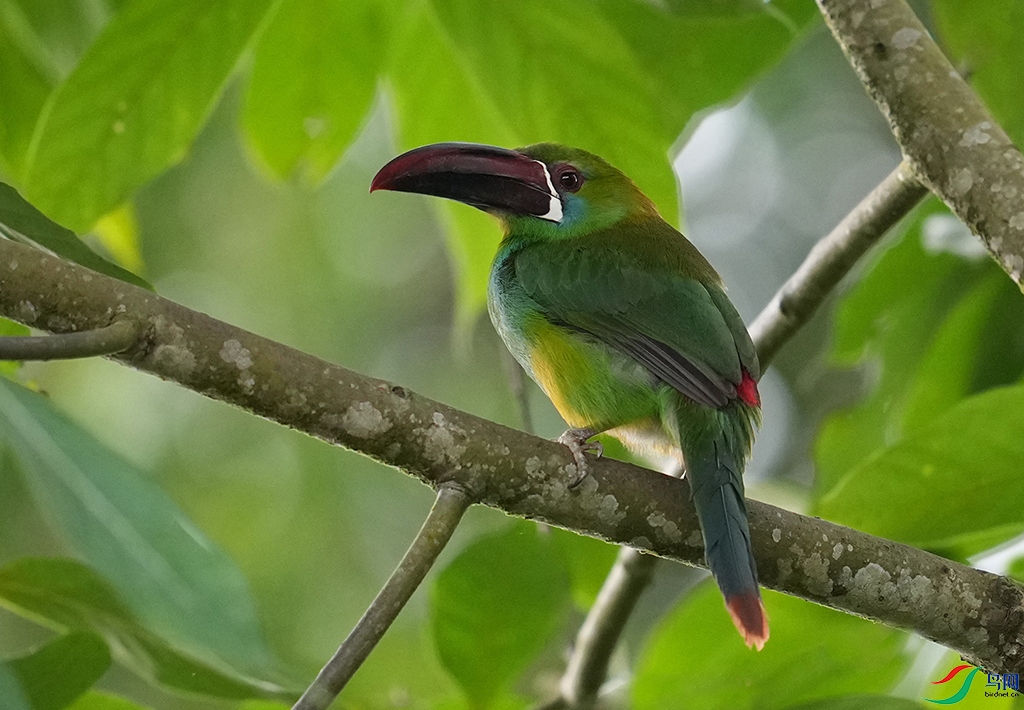 ��������� 2024.04.03��˹�����DSC02942.jpg