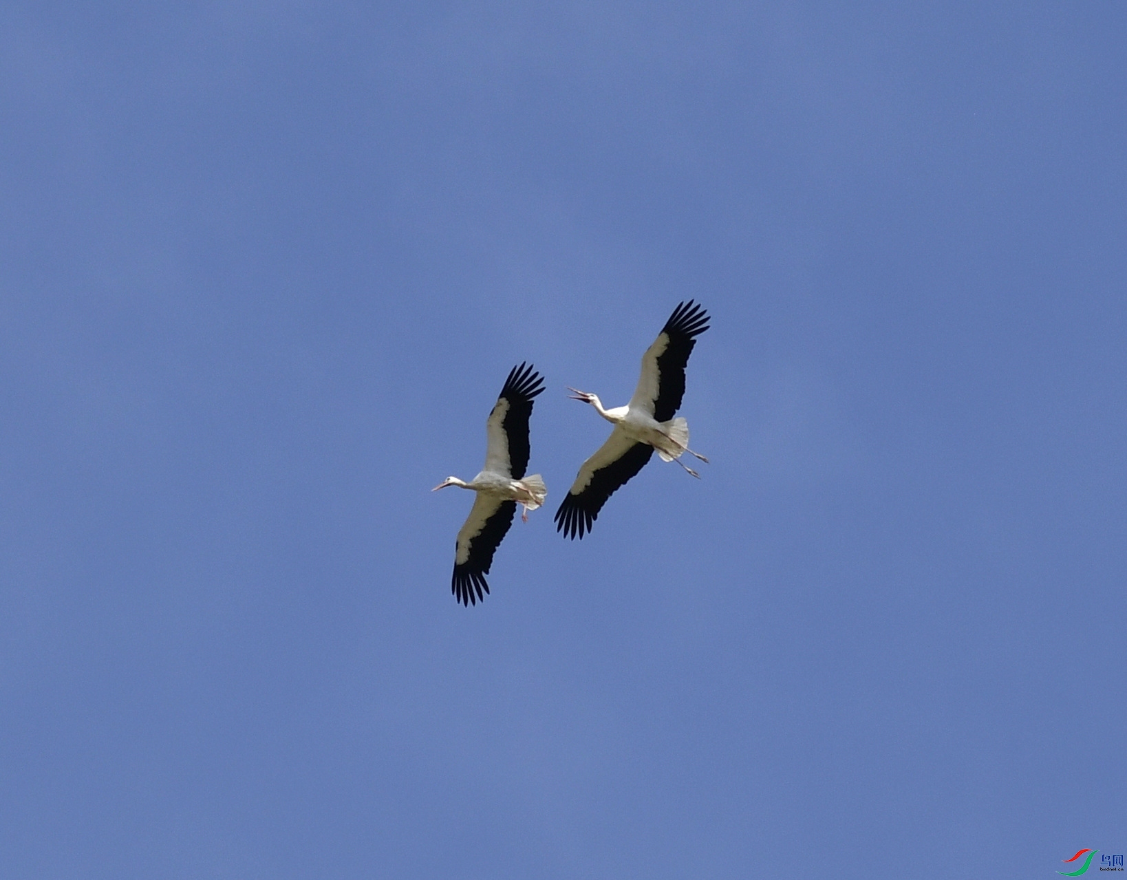 _DSC2661_01.JPG
