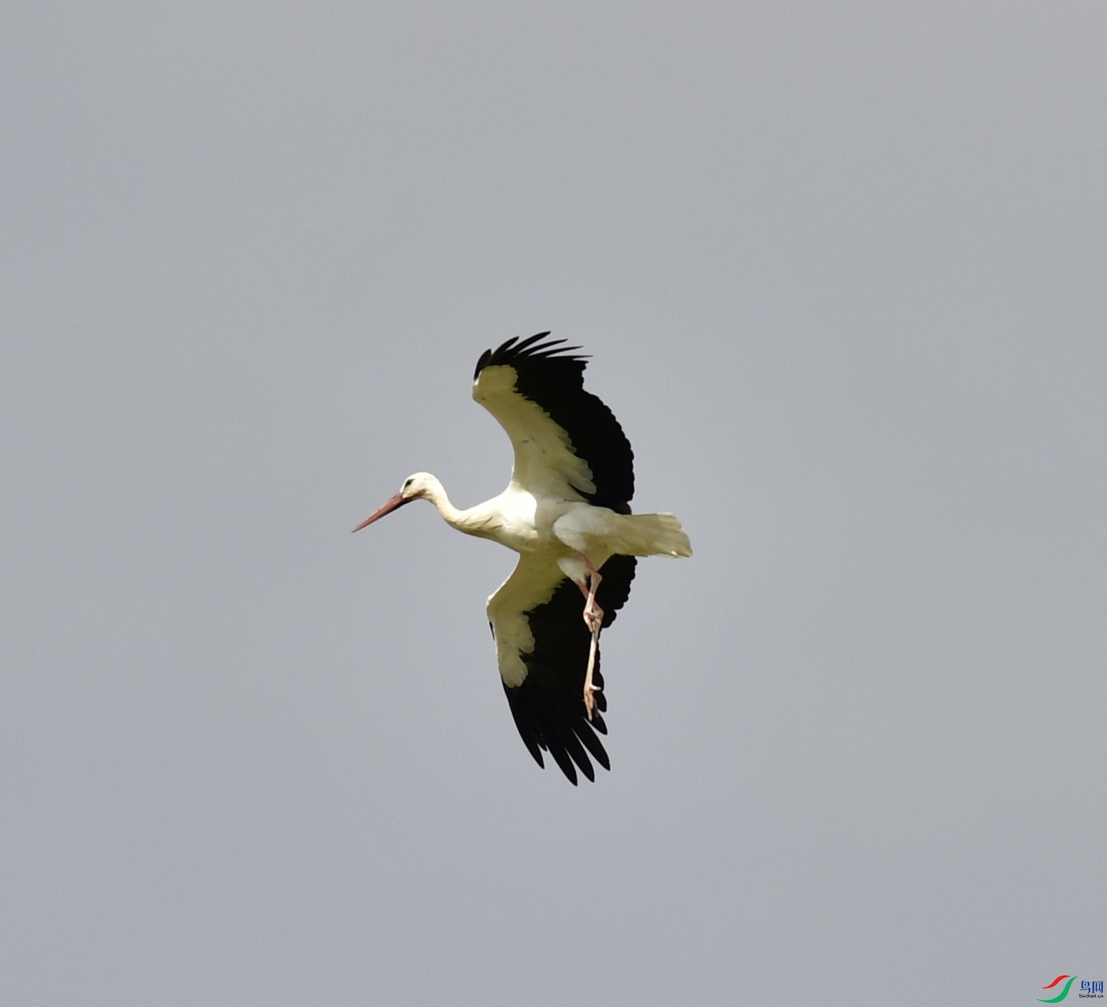 _DSC2722_01.JPG