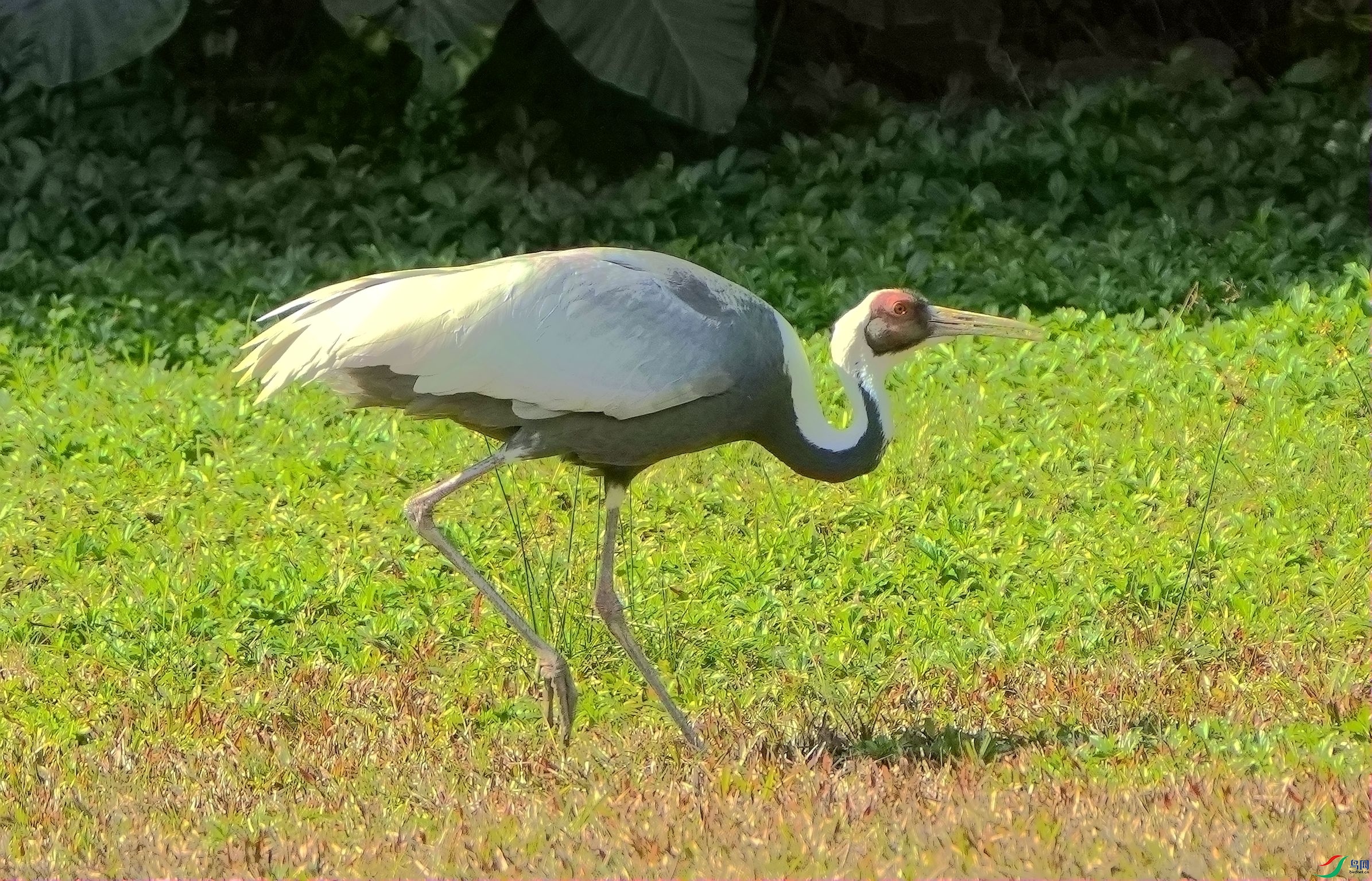 ����ǰ��DSC08371_����.jpg