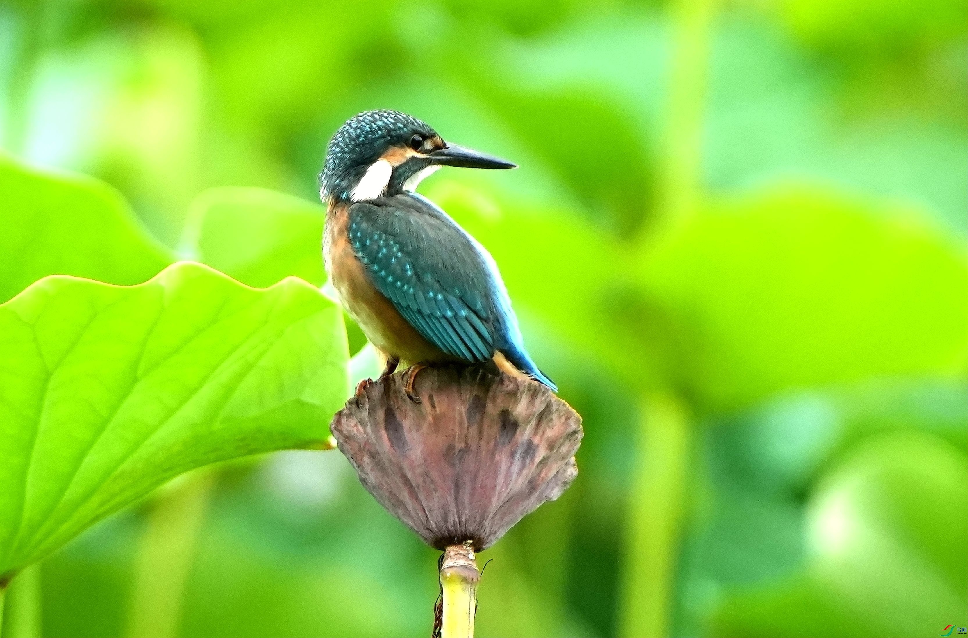 �����ϻ�ͷ����DSC05358_����.jpg