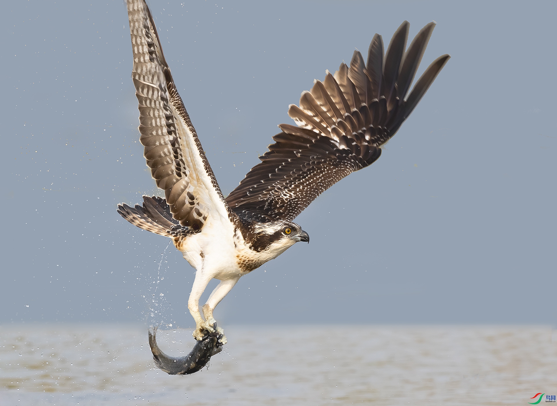 019A0294 ����.jpg