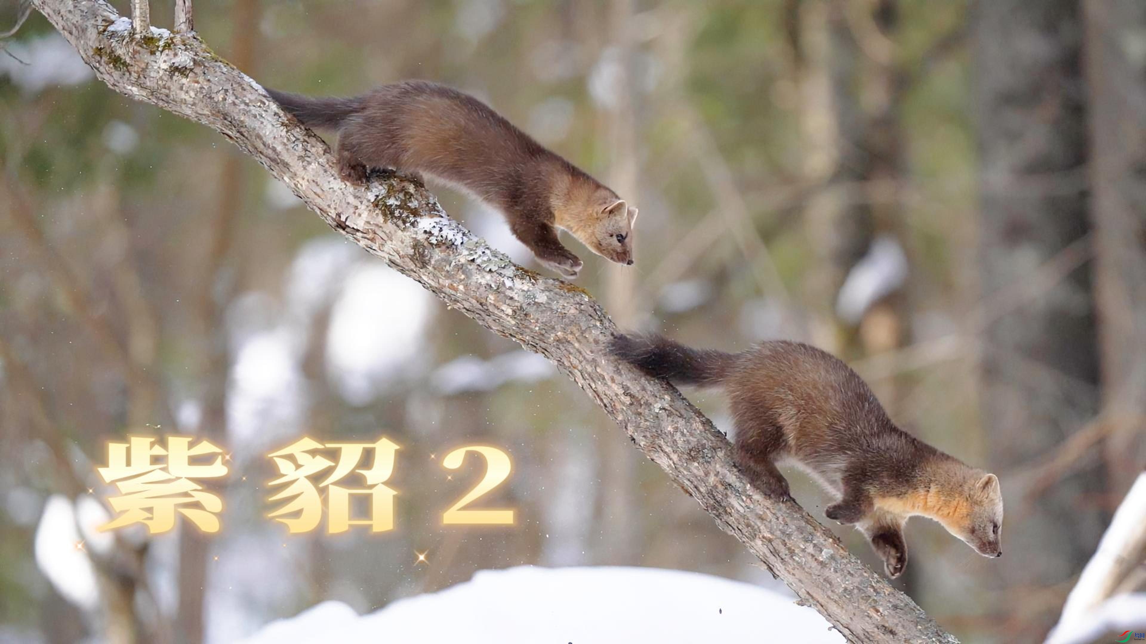 9��26�� (2)(2)-����.jpg