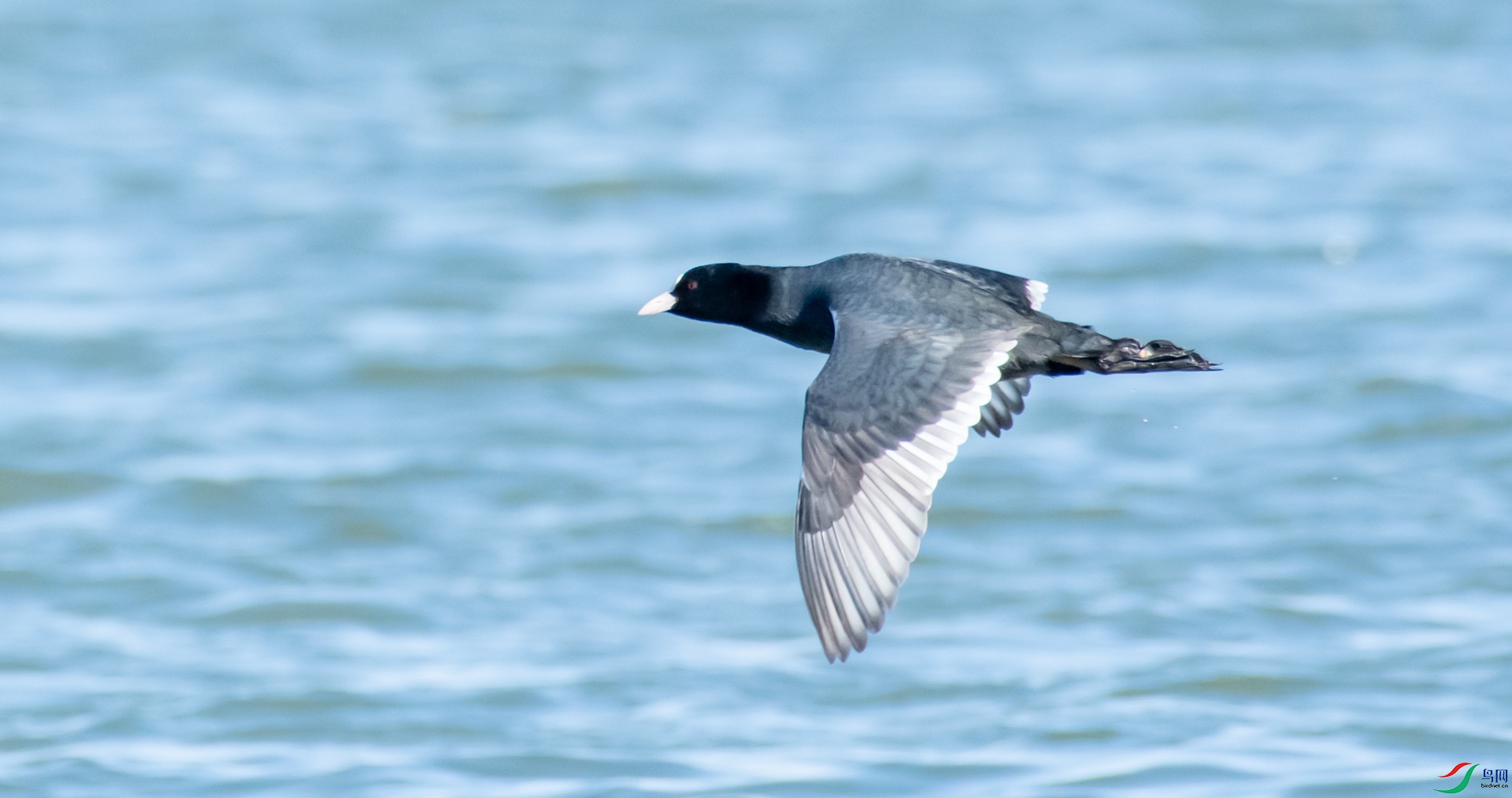 DSC_5433.jpg