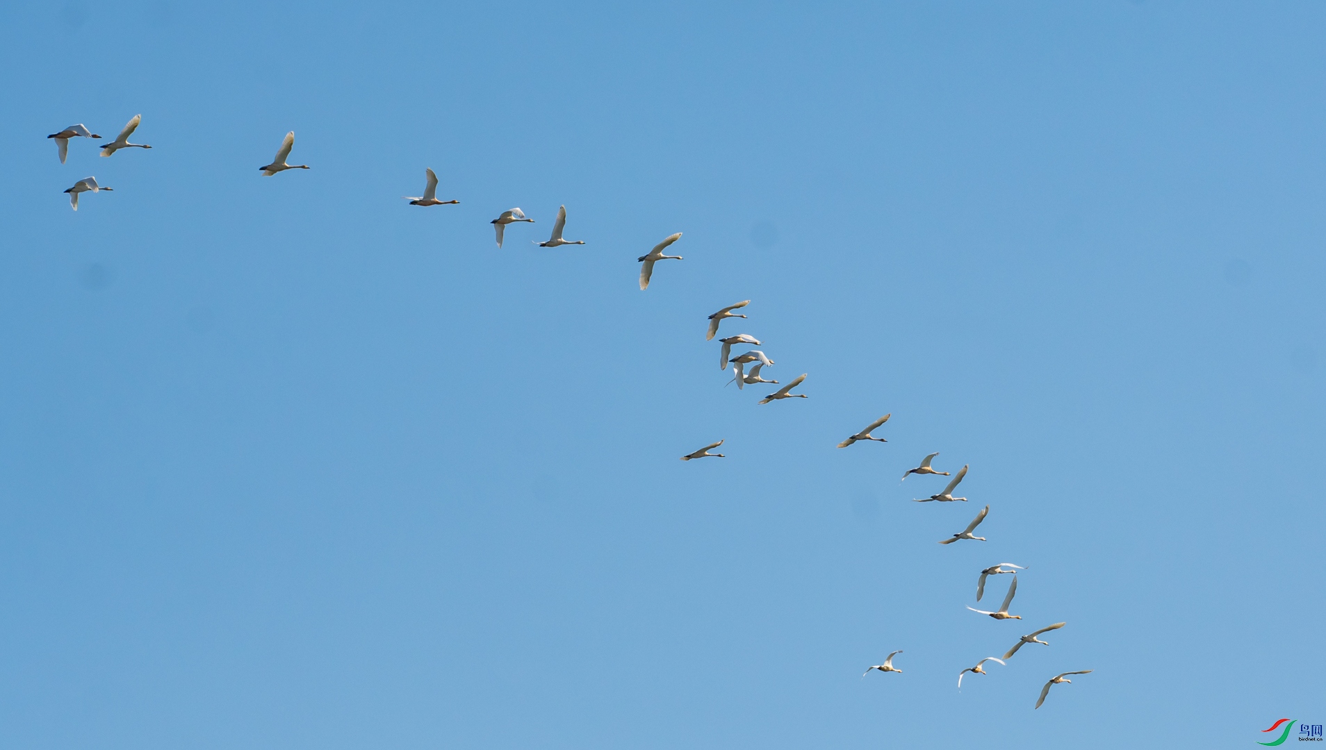 DSC_5876.jpg