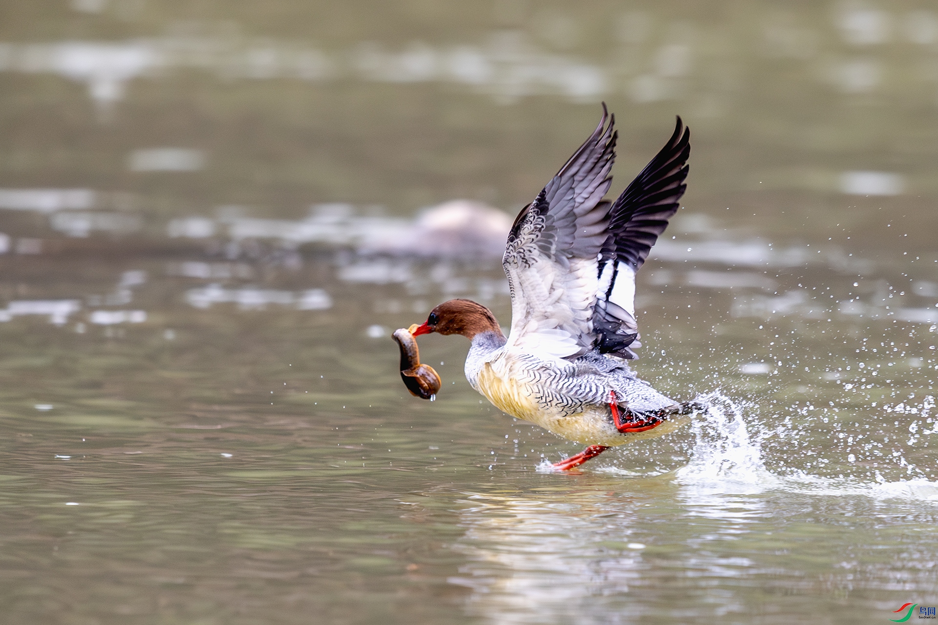 20240930�ڷ� .jpg