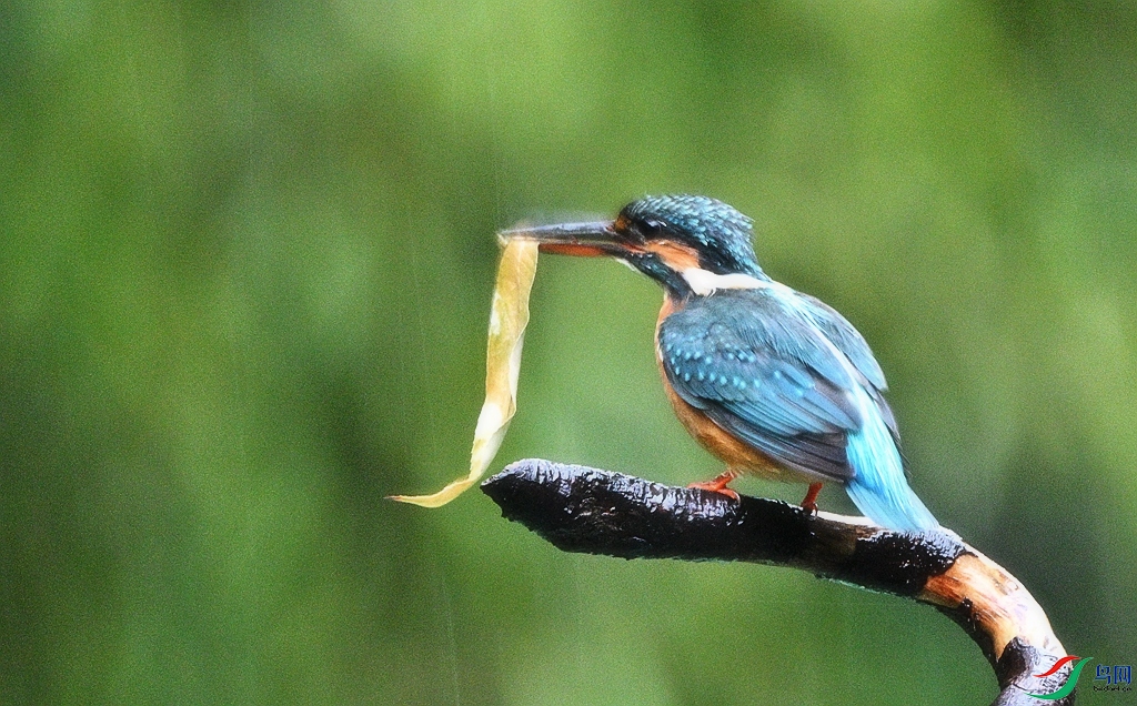 DSC_7786.JPG