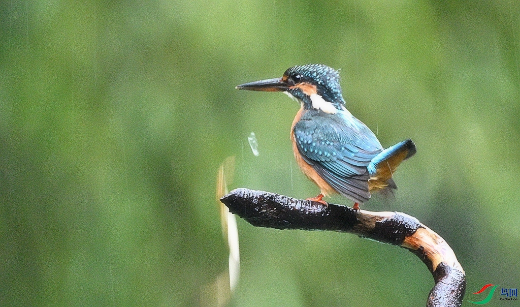 DSC_7790.JPG
