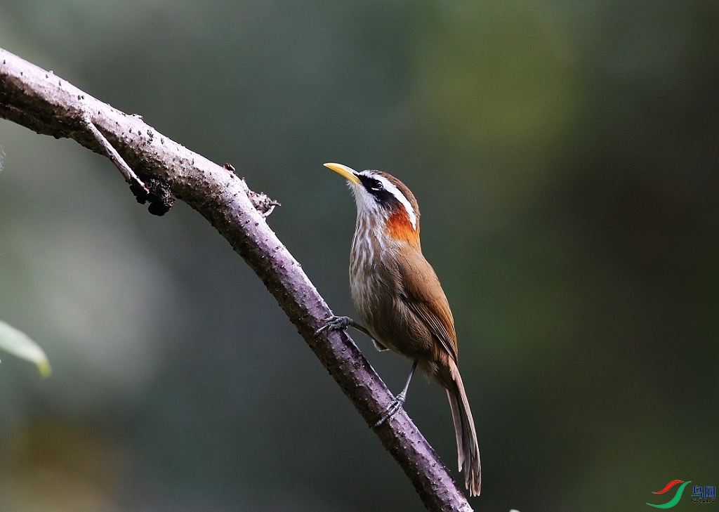 ���� IMGL0145.JPG