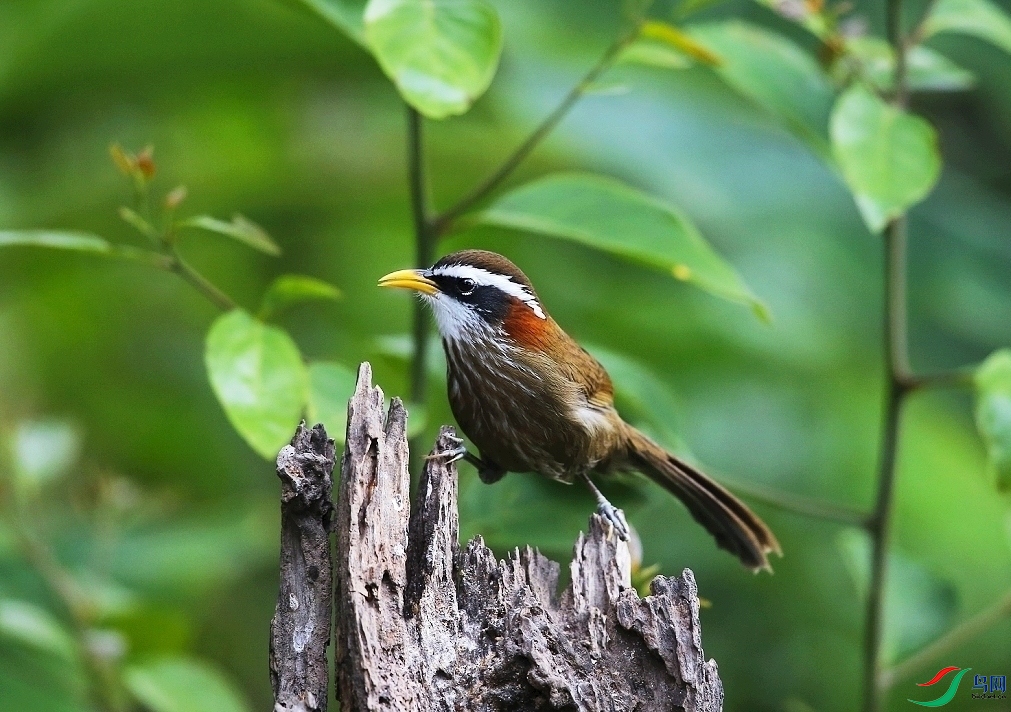 ���� IMGL0170.JPG