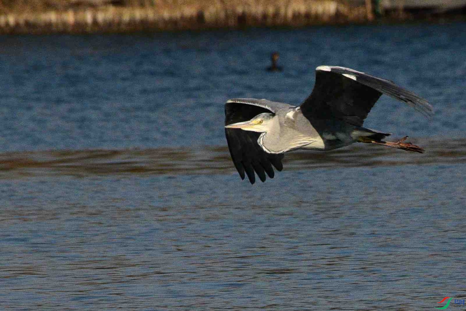 DSC_0218.JPG