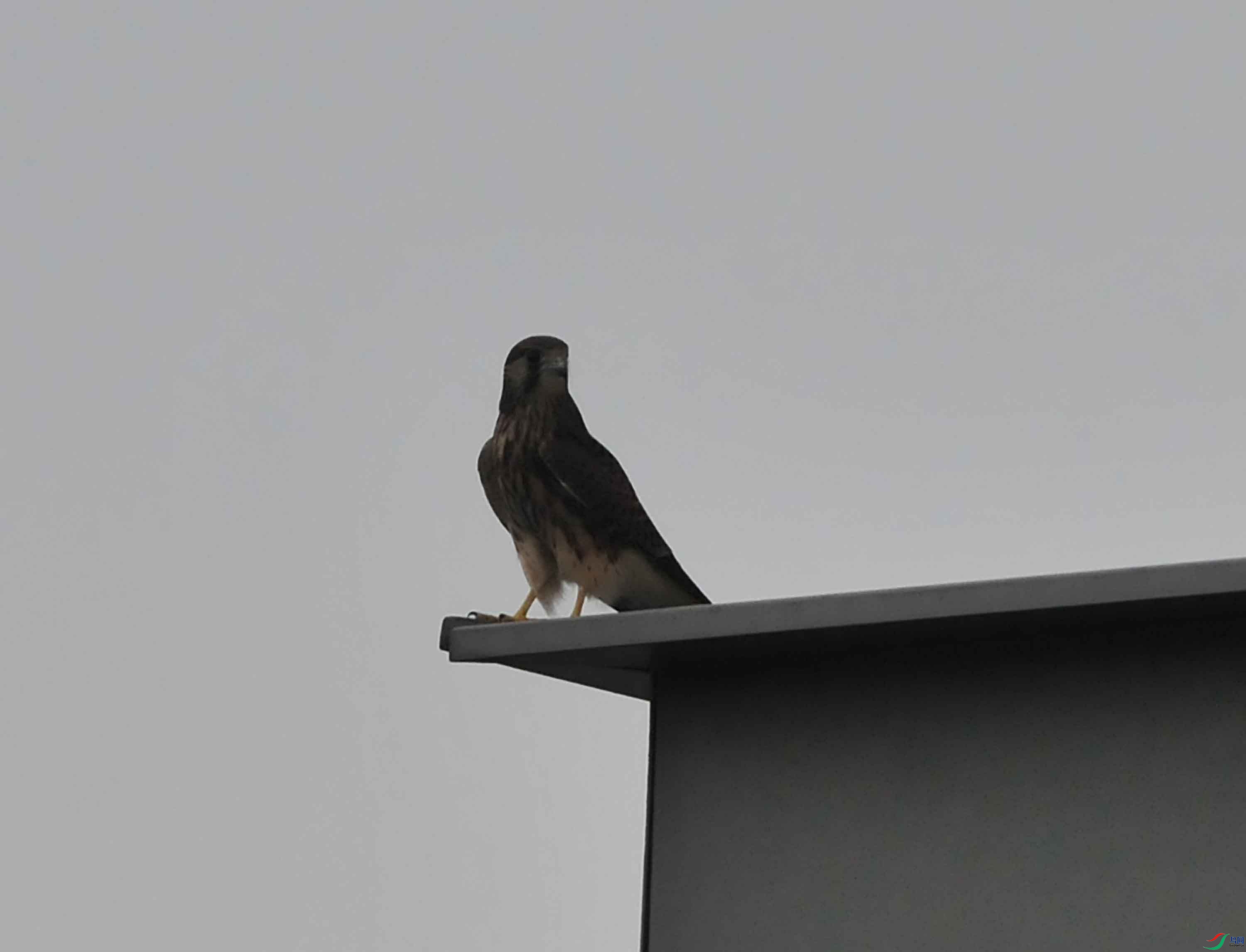 DSC_8781.JPG