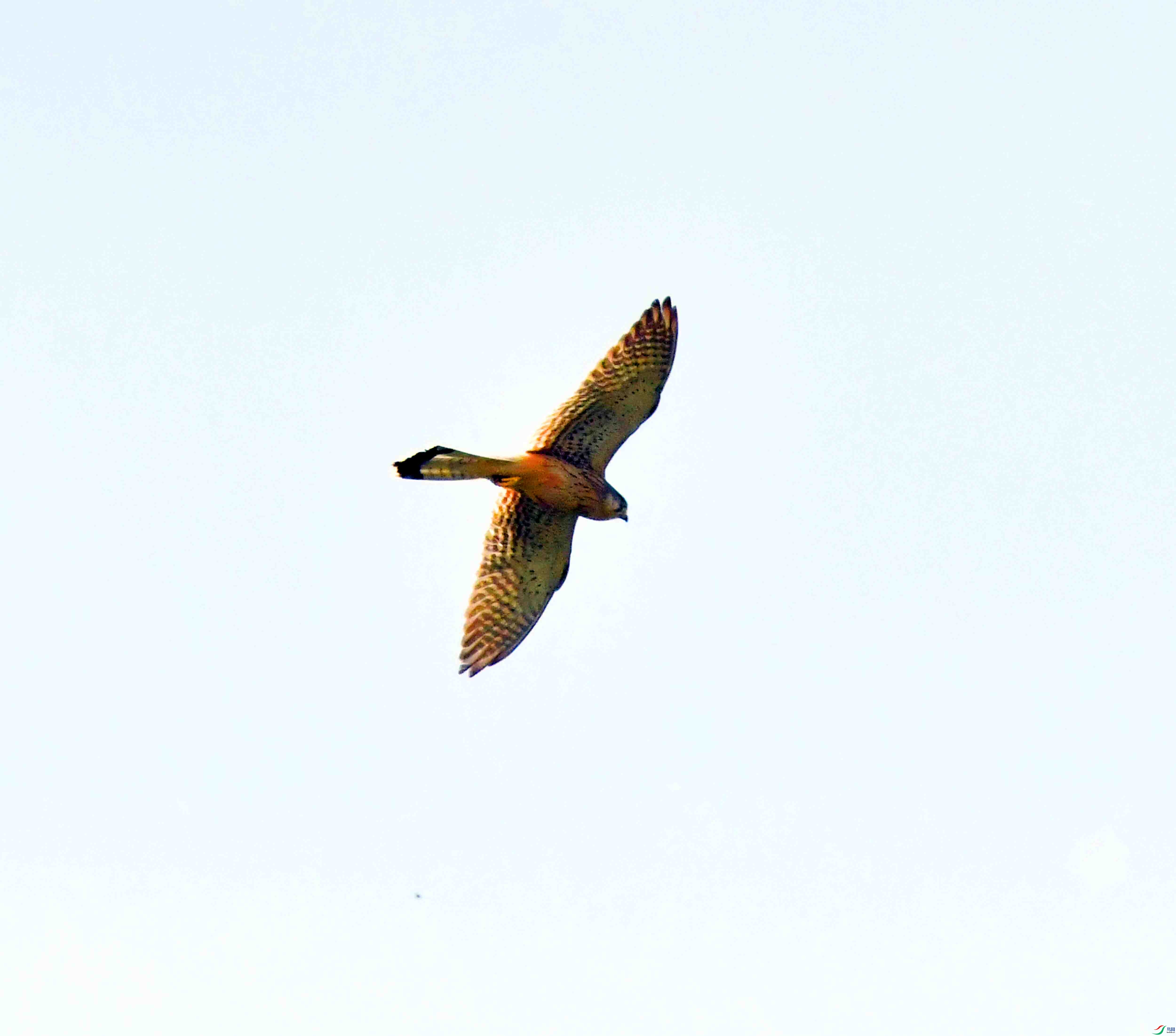 DSC_9943.JPG