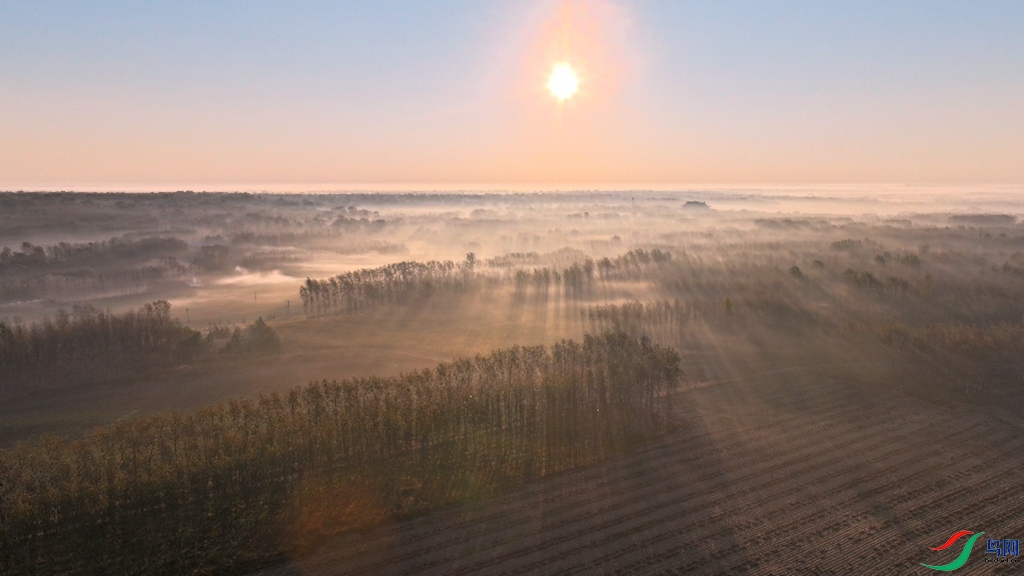 DJI_20240927051904_0002_D_����.jpg