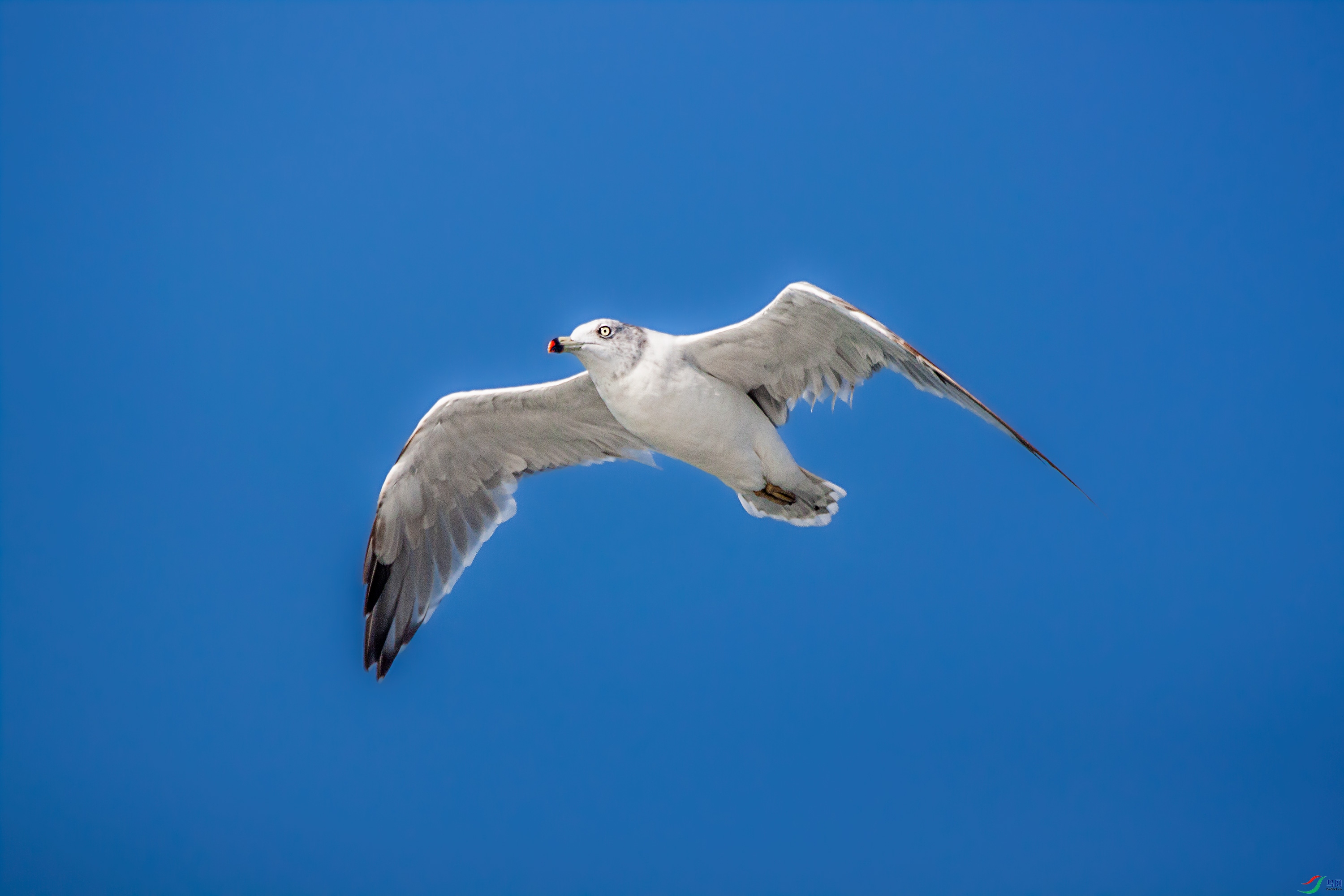 IMG_5585.jpg