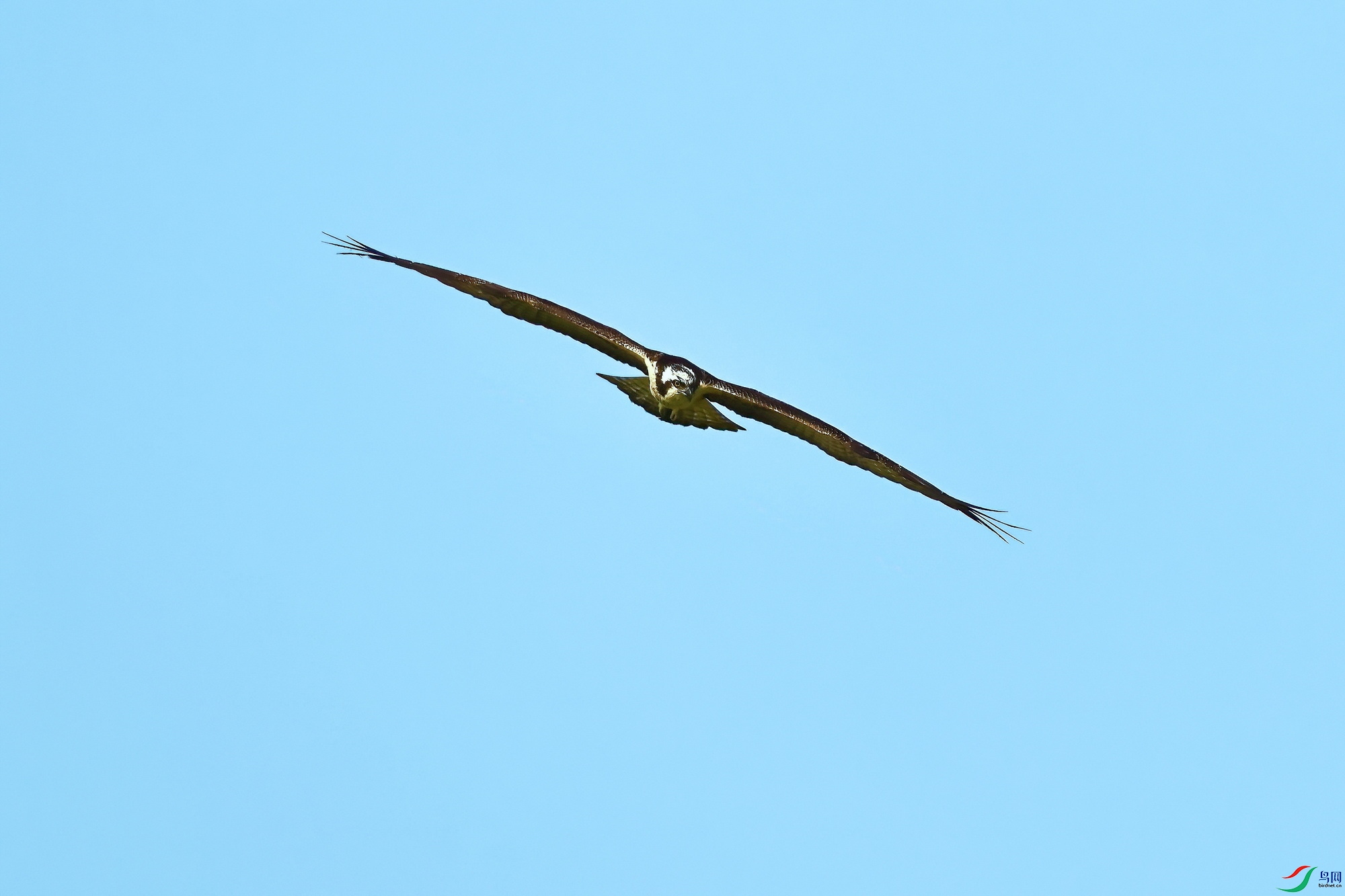 IMG_8563-1.JPG