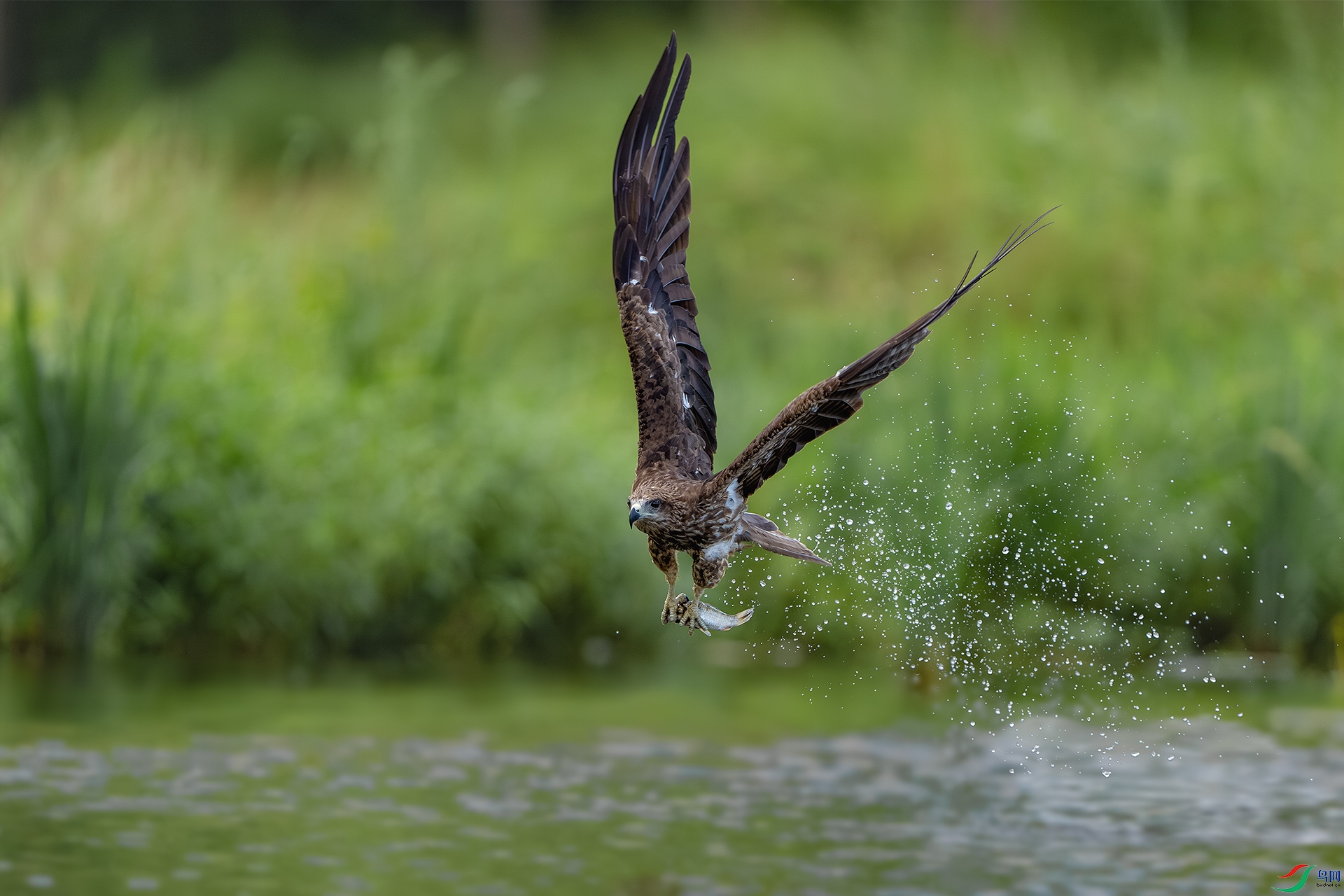 _DSC9246-����ǿ-NR ����С1.jpg