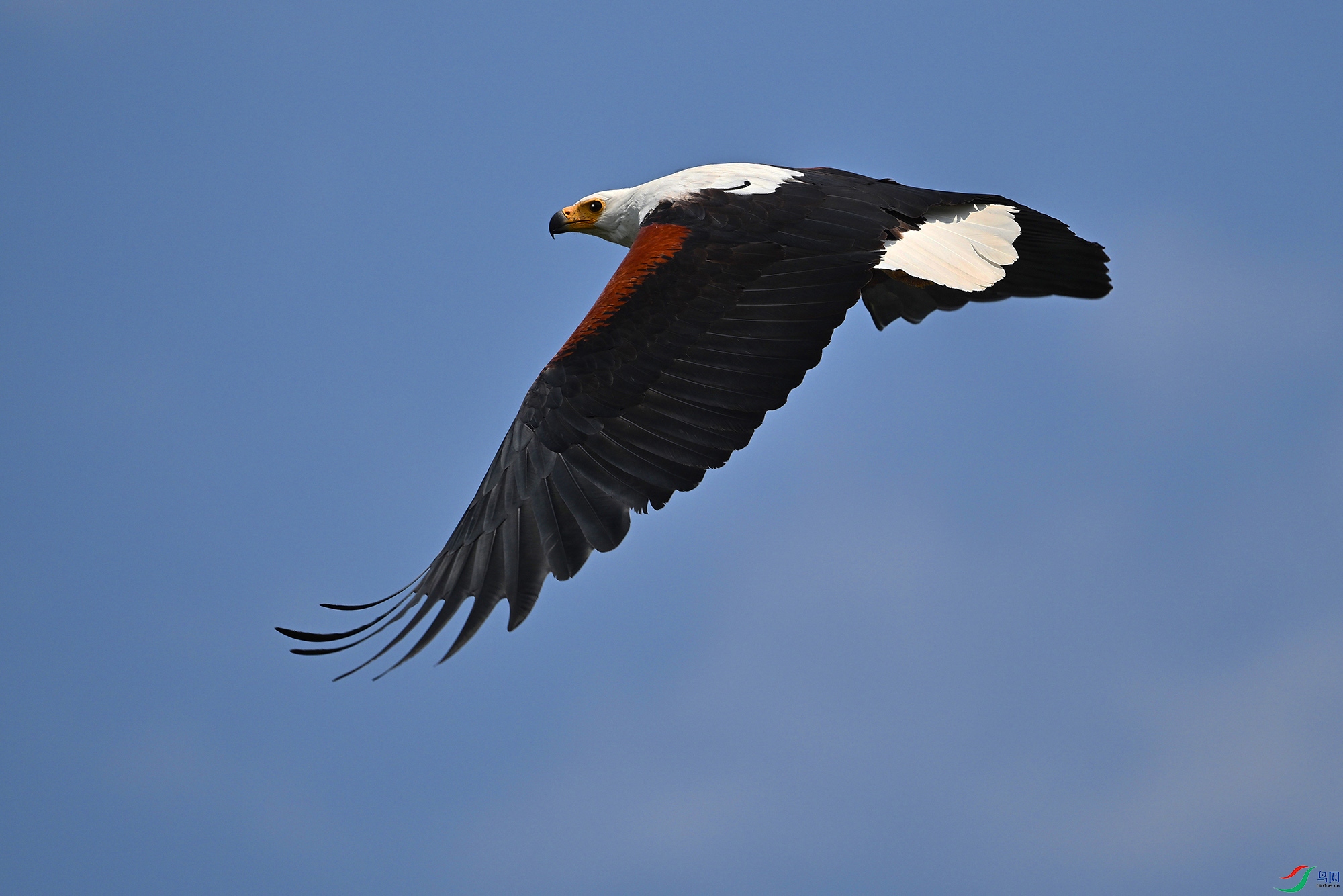 DSC_5713.JPG
