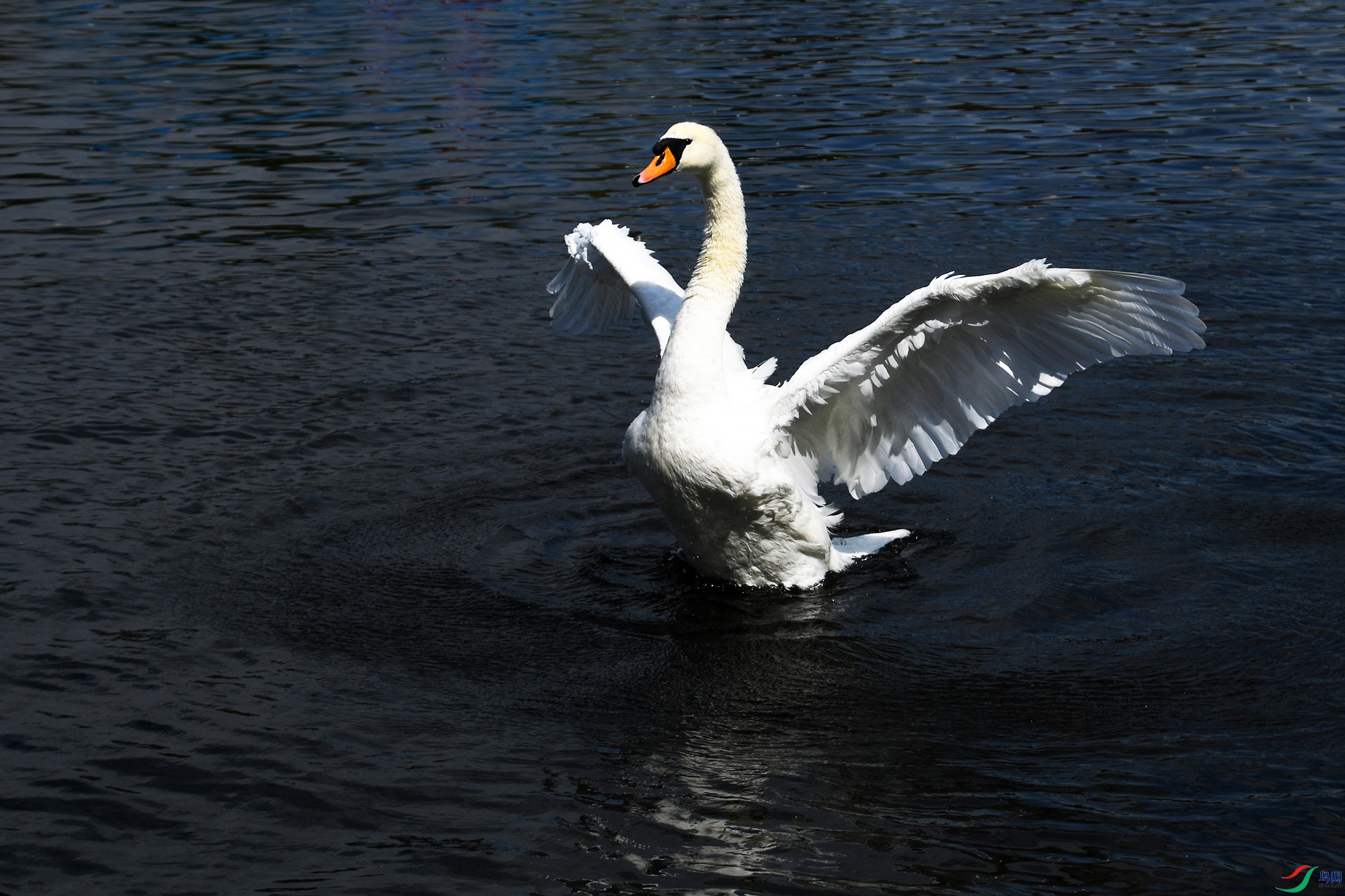 DSC_3422.JPG