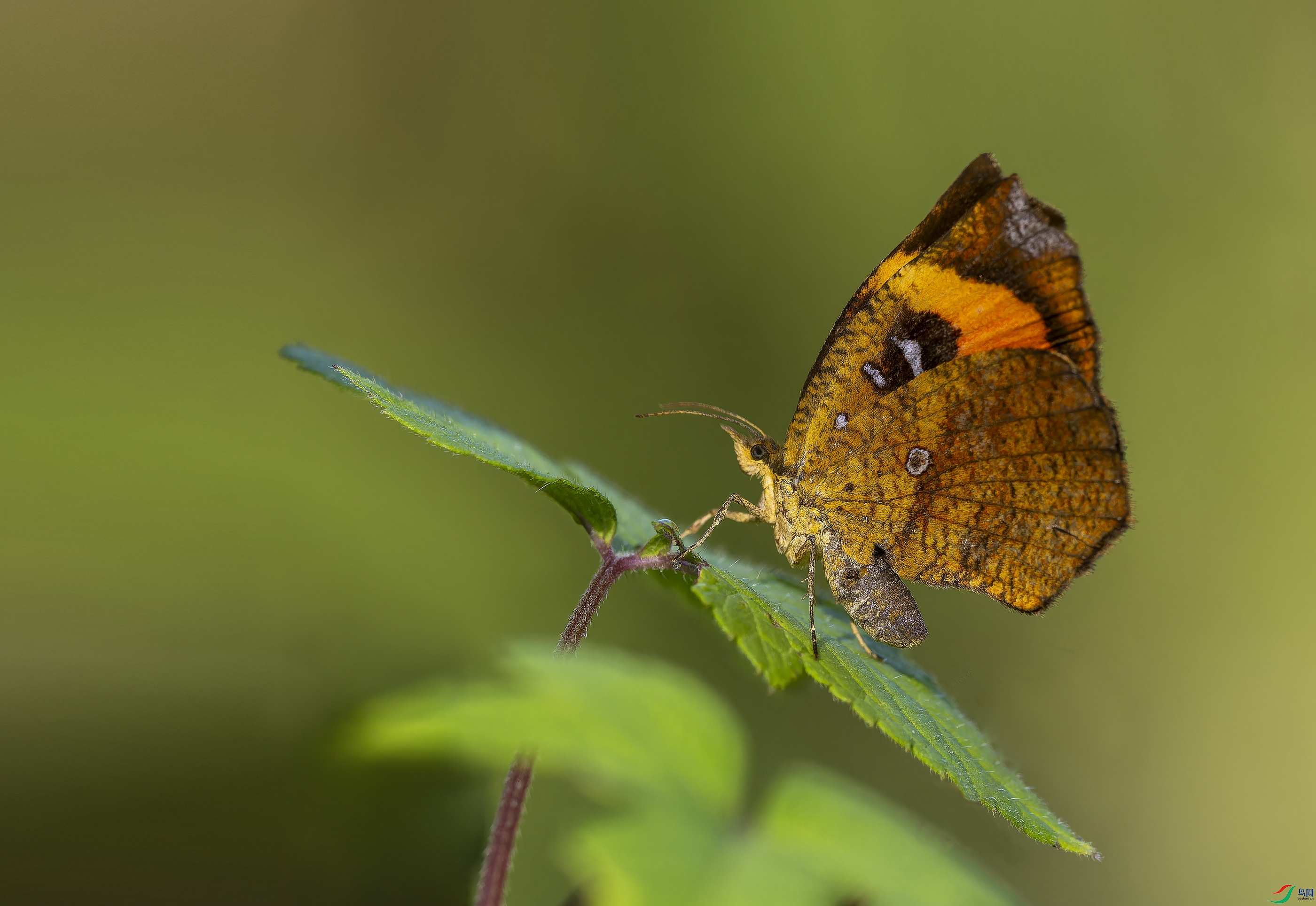 ê�ƶ� (121)-ORF_DxO_DeepPRIMEXD ����.jpg