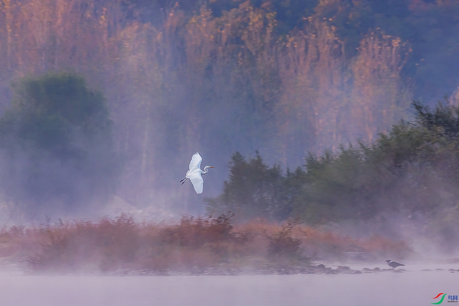 C09R4346 ����2.jpg