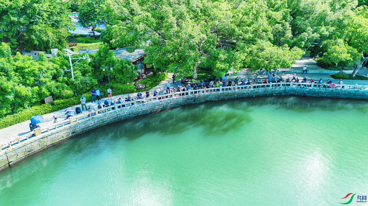 DJI_0424_����.jpg