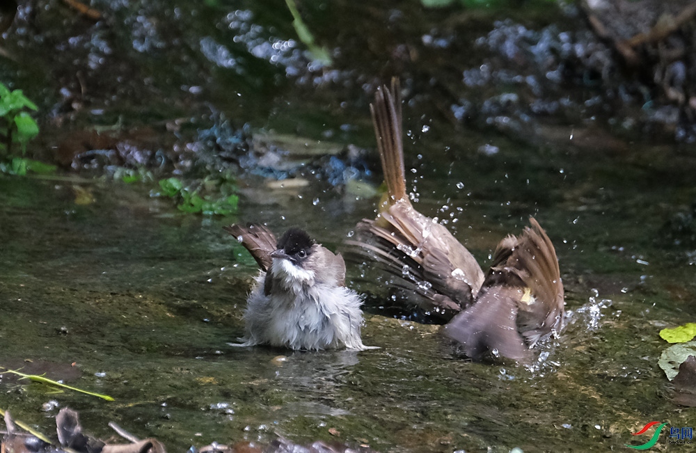 DSCF6389.1.JPG