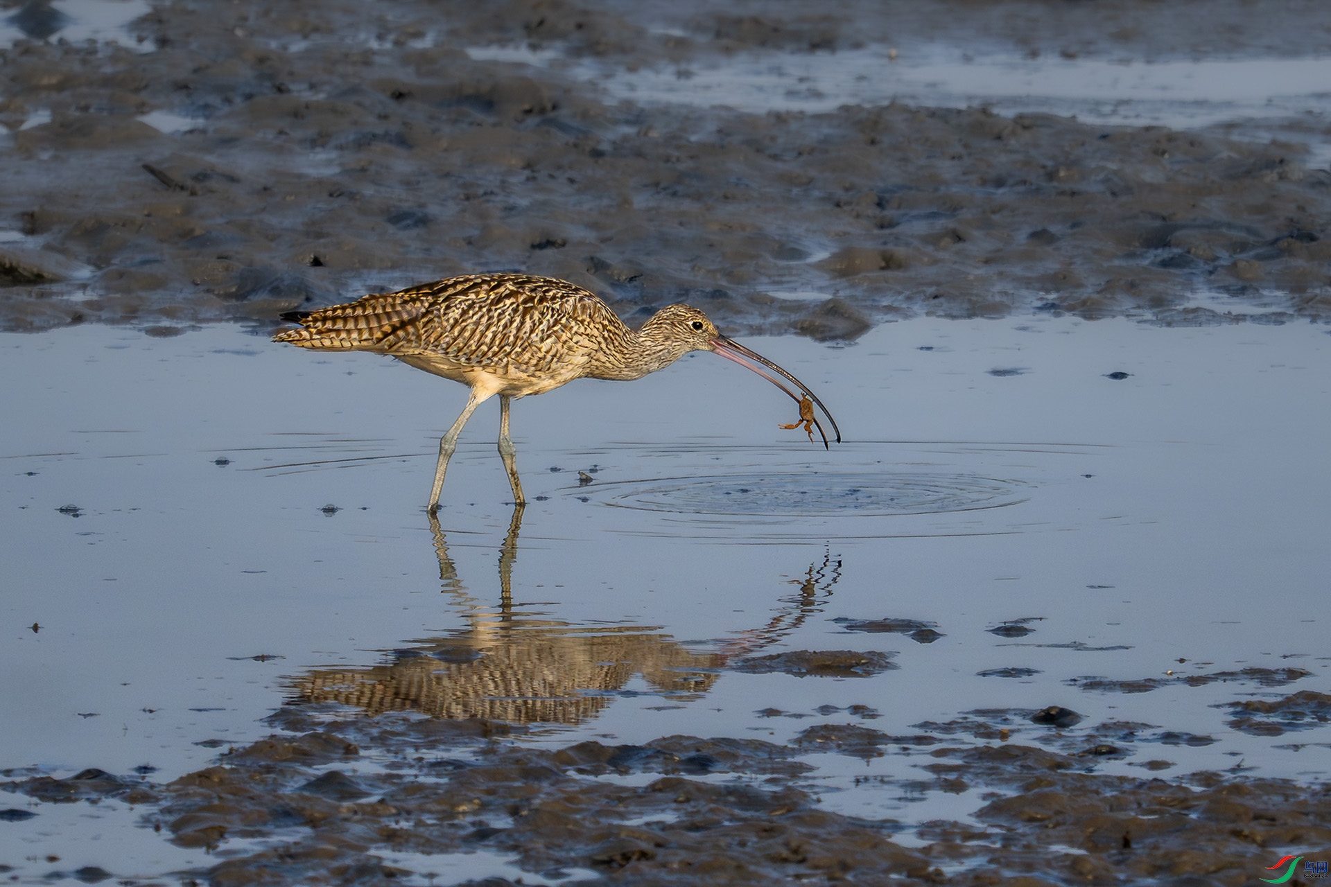 _DSC2355bb22.jpg