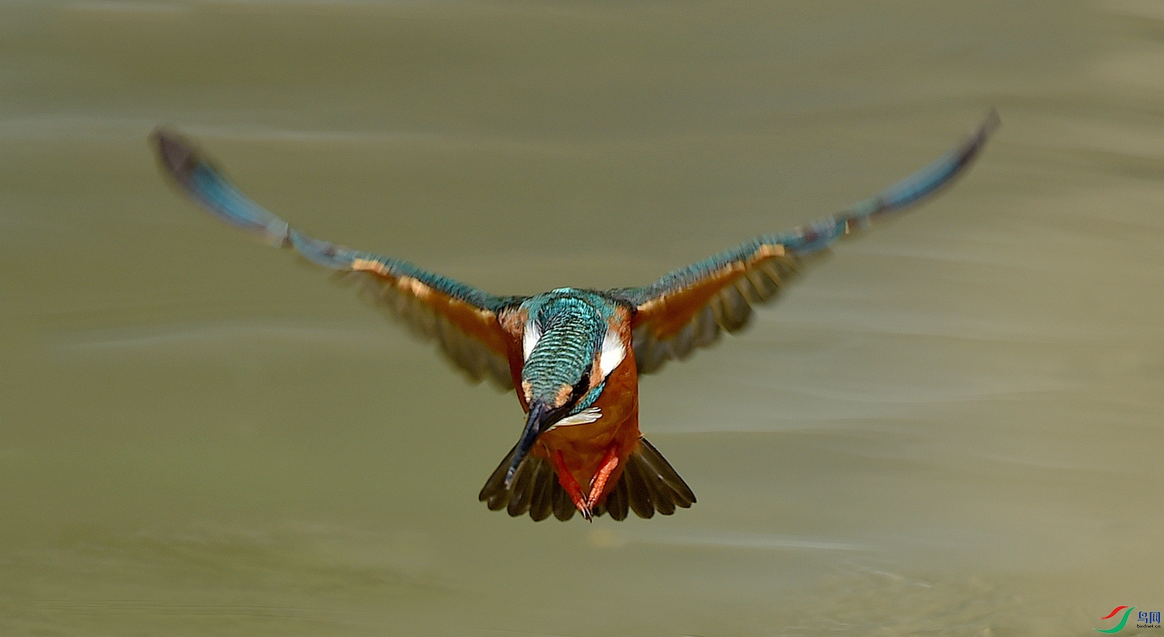 DSC_8486.jpg