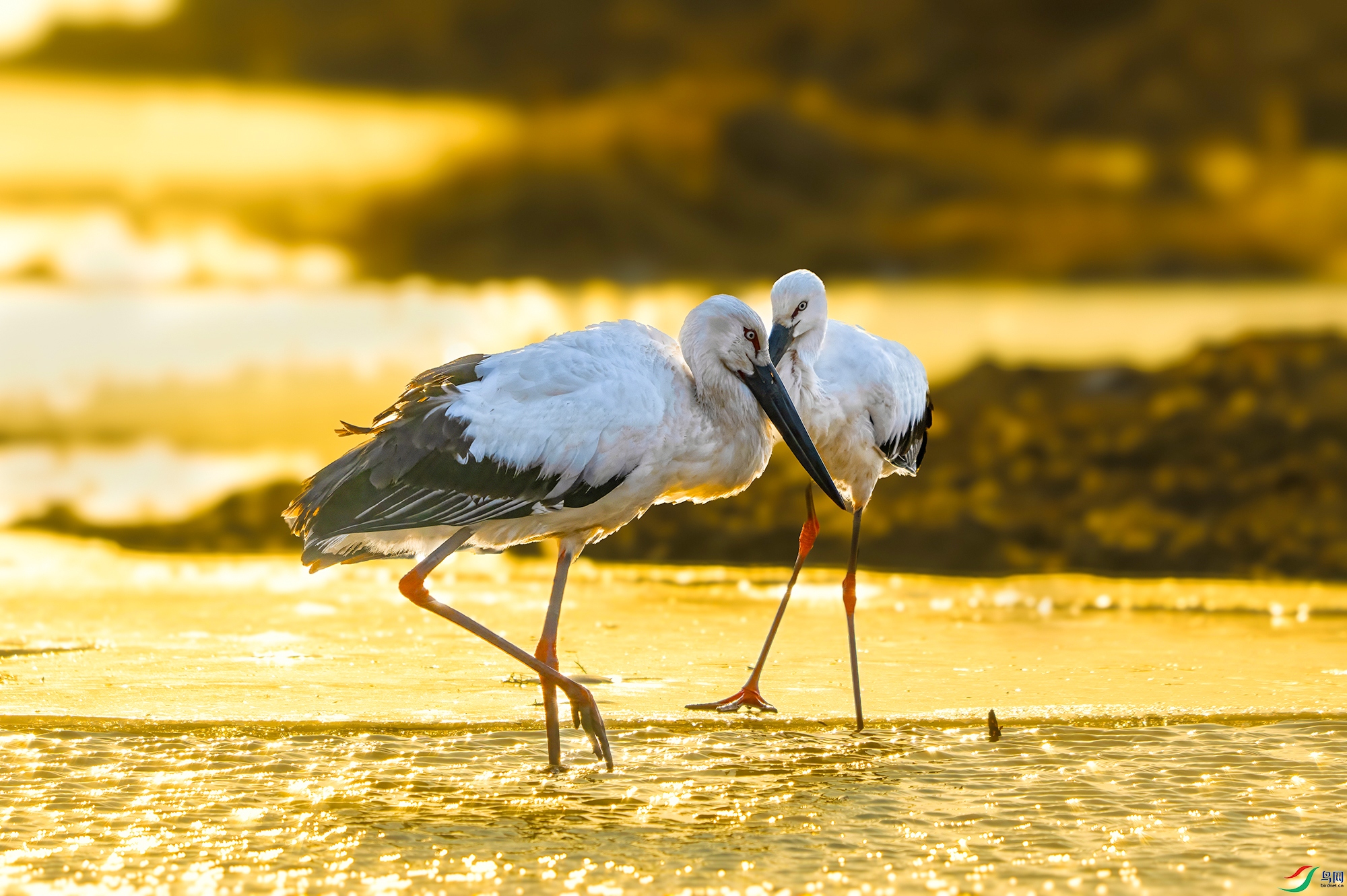 ��Ӱ���� ����.jpg