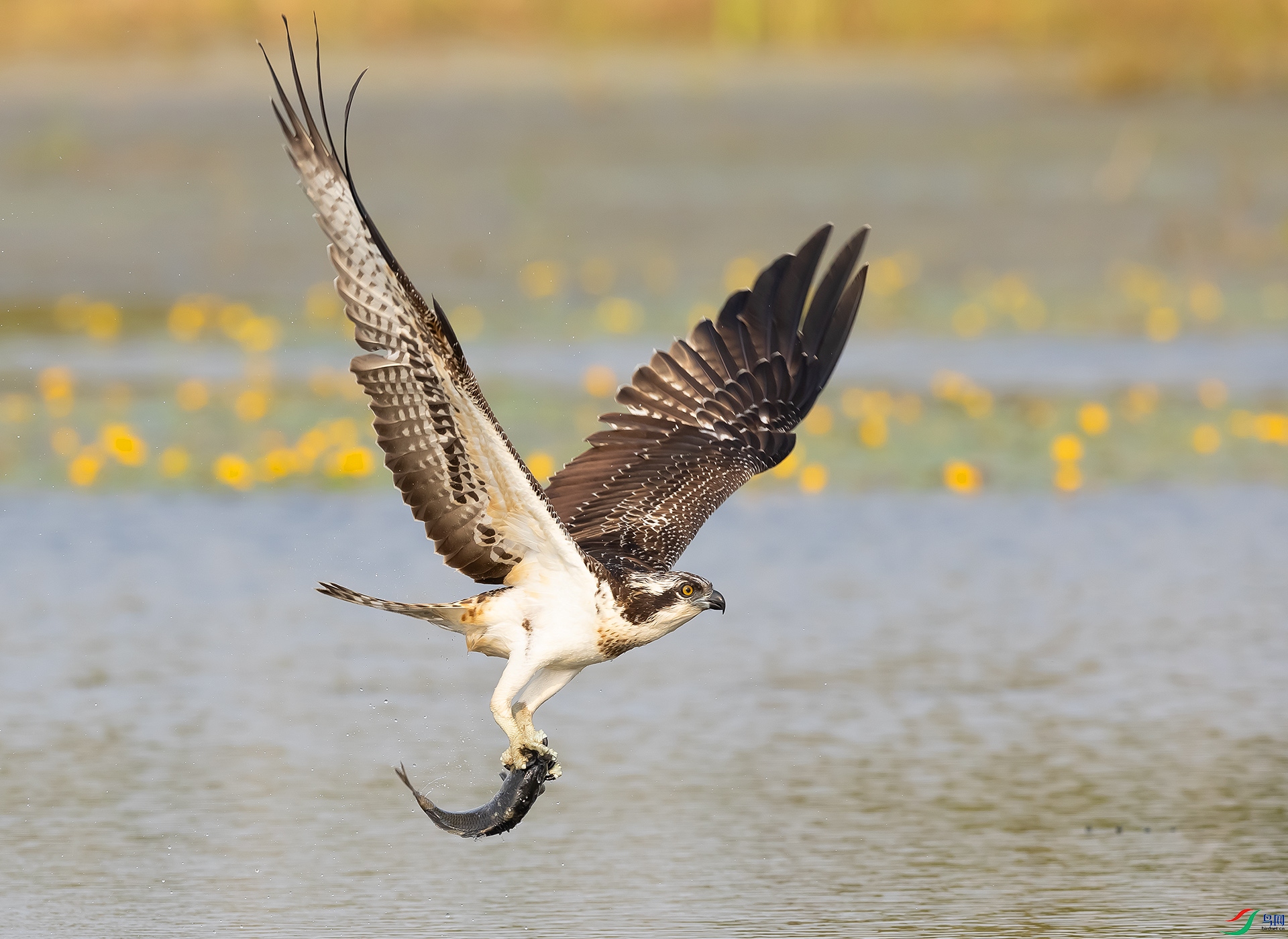 019A0305 ����.jpg