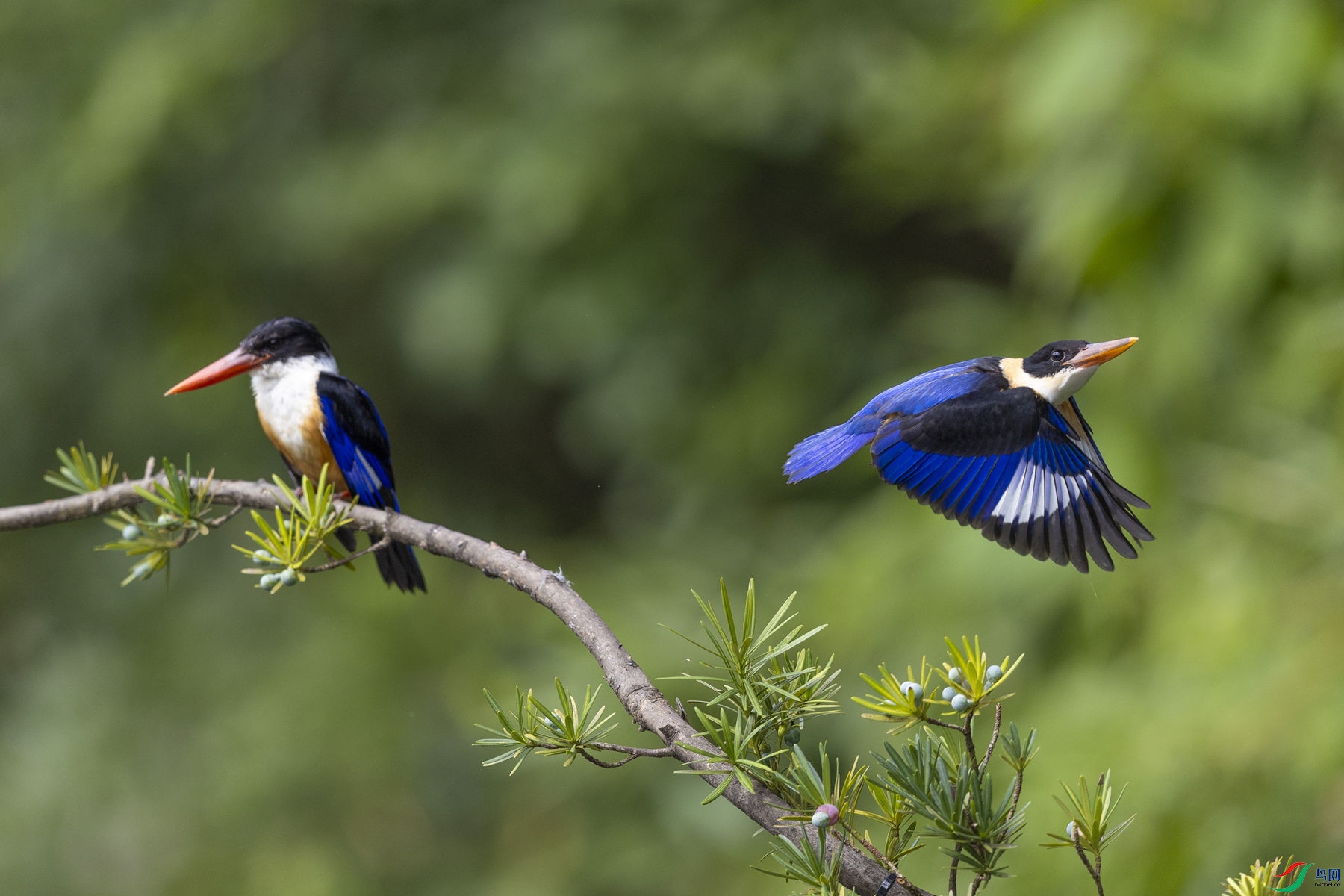 �����04