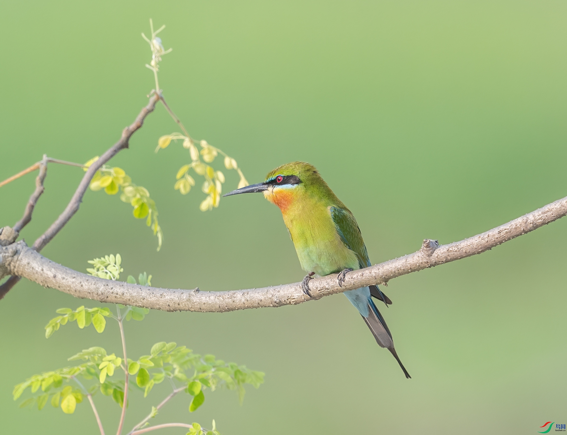 DSC_7159-1.jpg