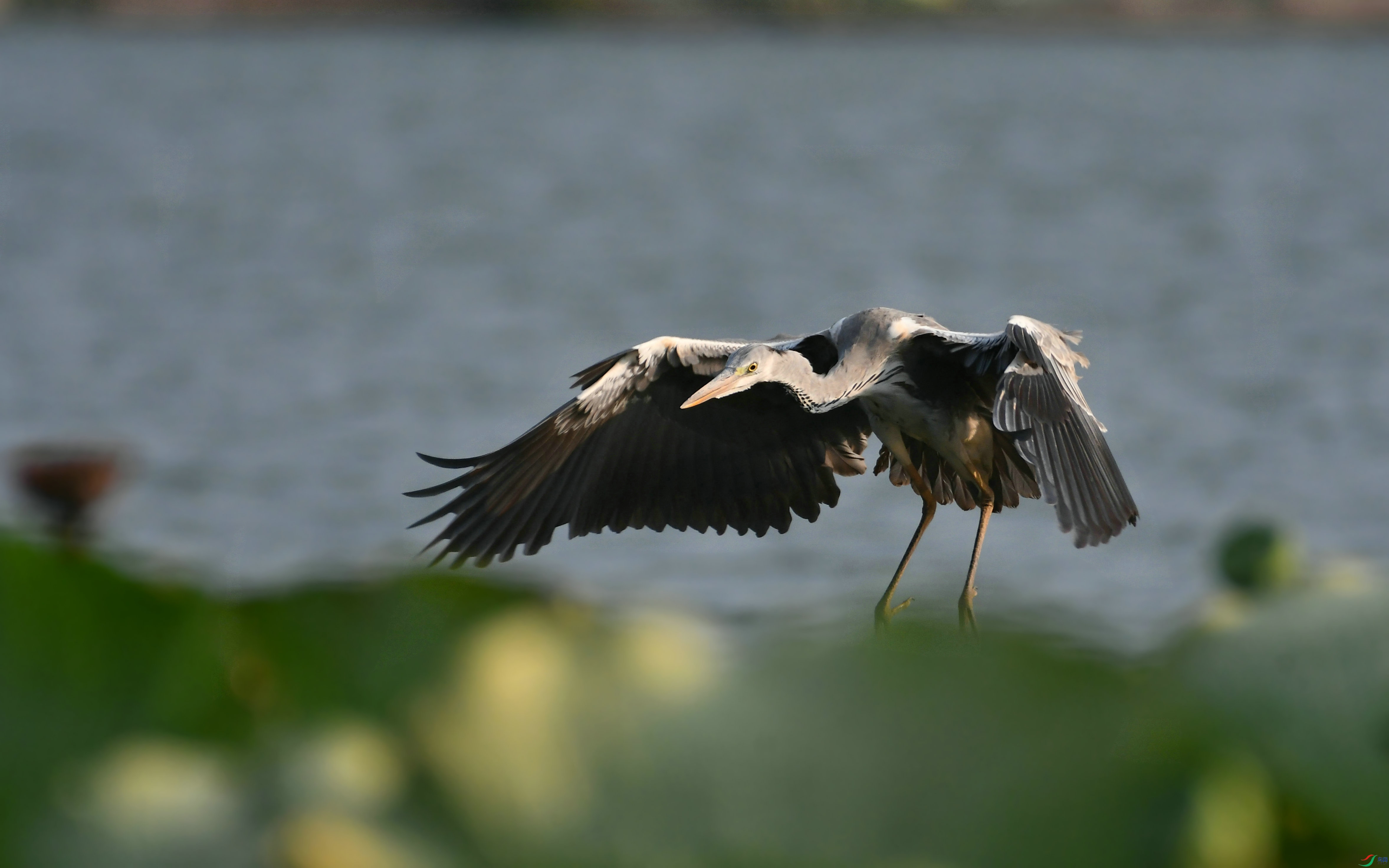 DSC_2775.JPG