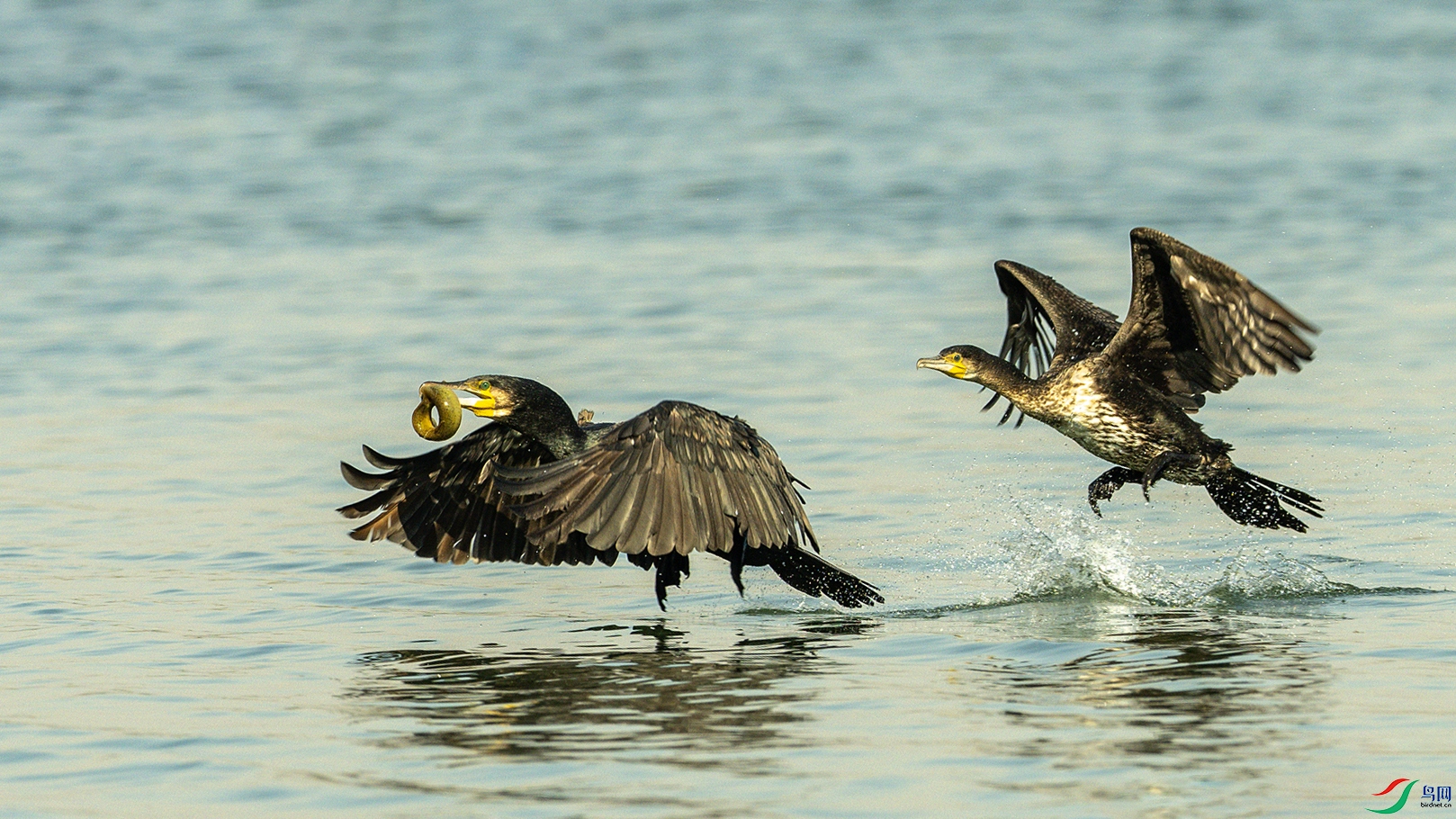 1066 ���� 2.jpg