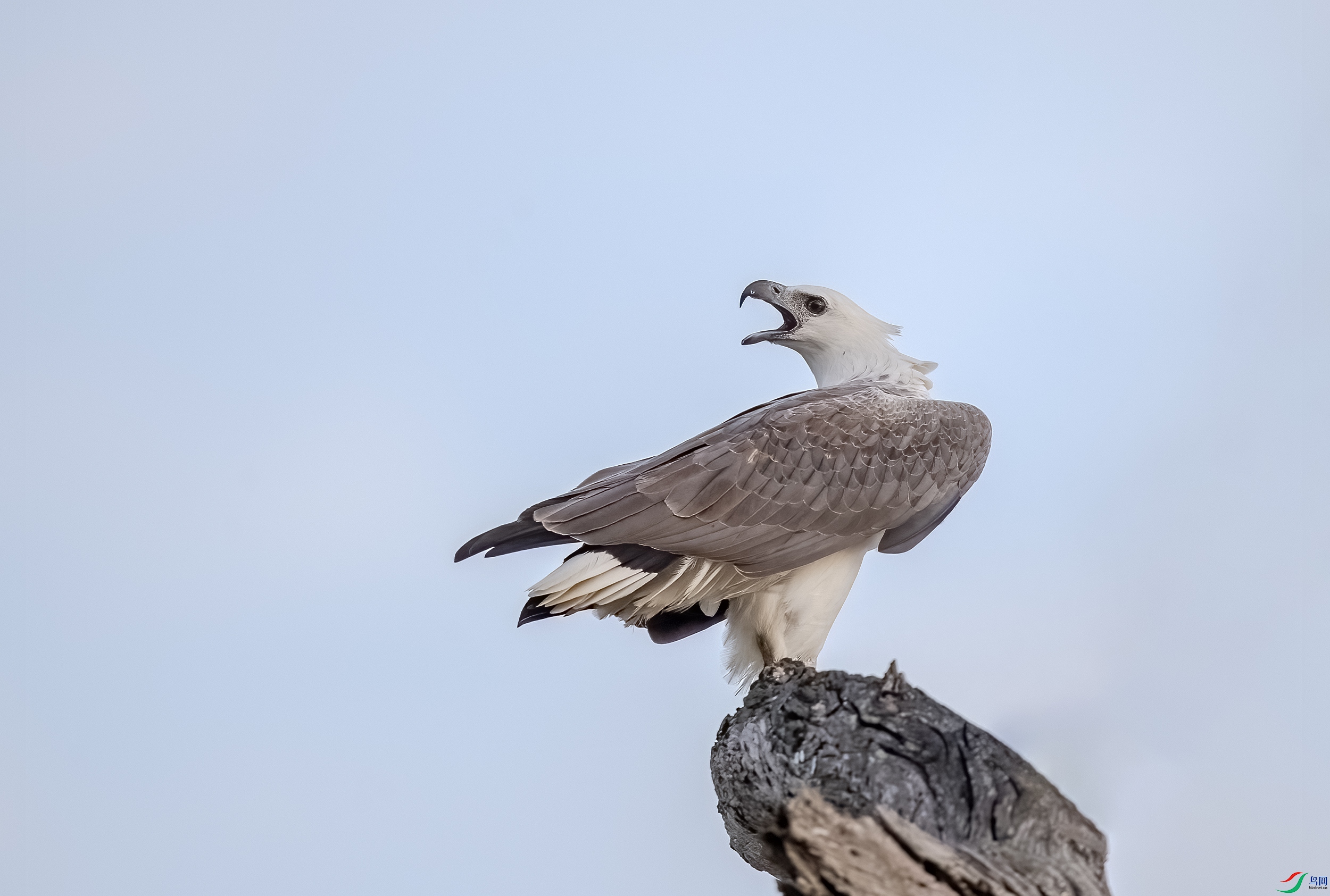 AC3I0561 ����.jpg