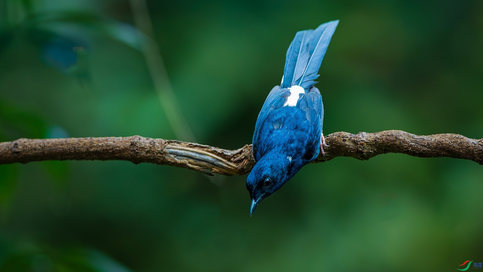 1_XXL0228-����ǿ-NR ����.jpg1-1.jpeg