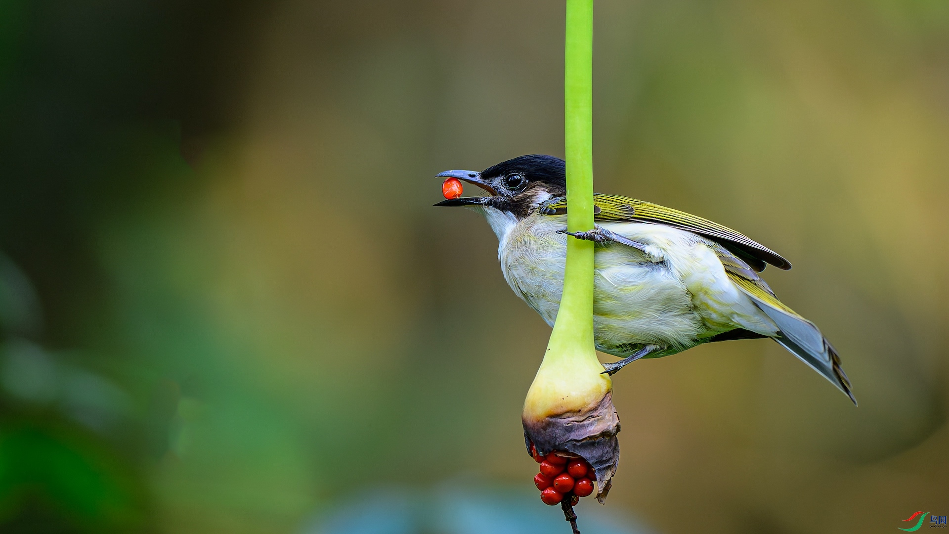 1_XXL0284-����ǿ-NR ����.jpg1-1.jpeg