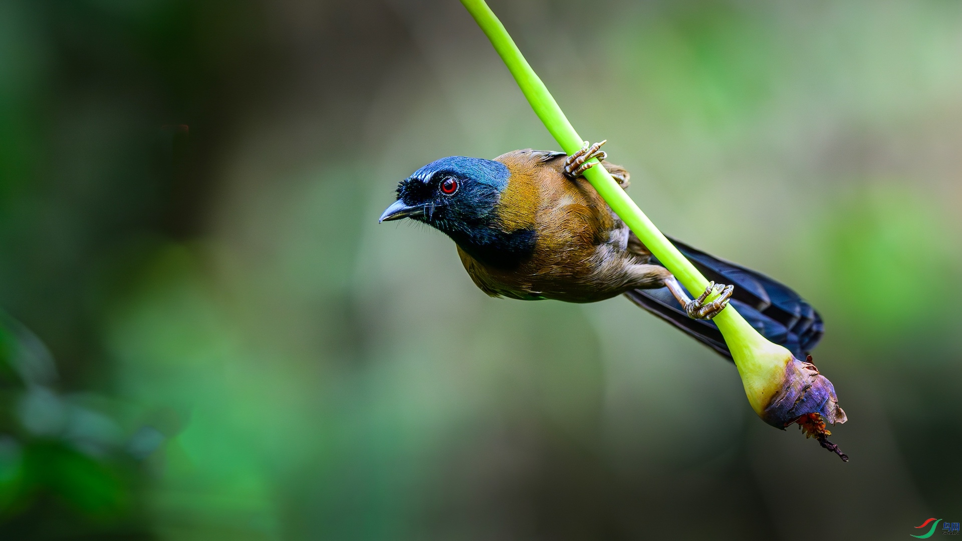 1_XXL0399-����ǿ-NR ����-1.jpeg