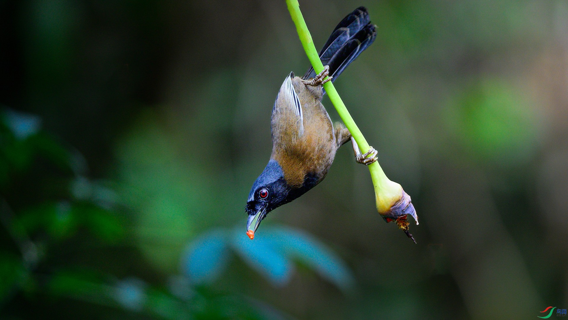 1_XXL0444 ����-1.jpeg