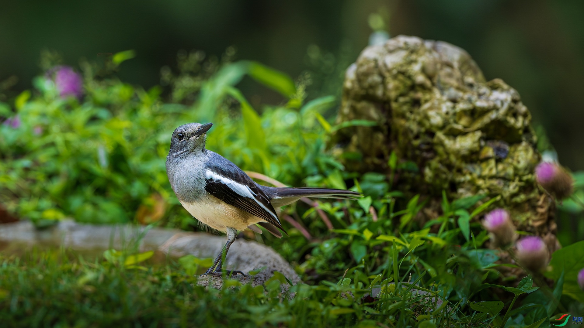 1_XXL0544-����ǿ-NR ����-1.jpeg