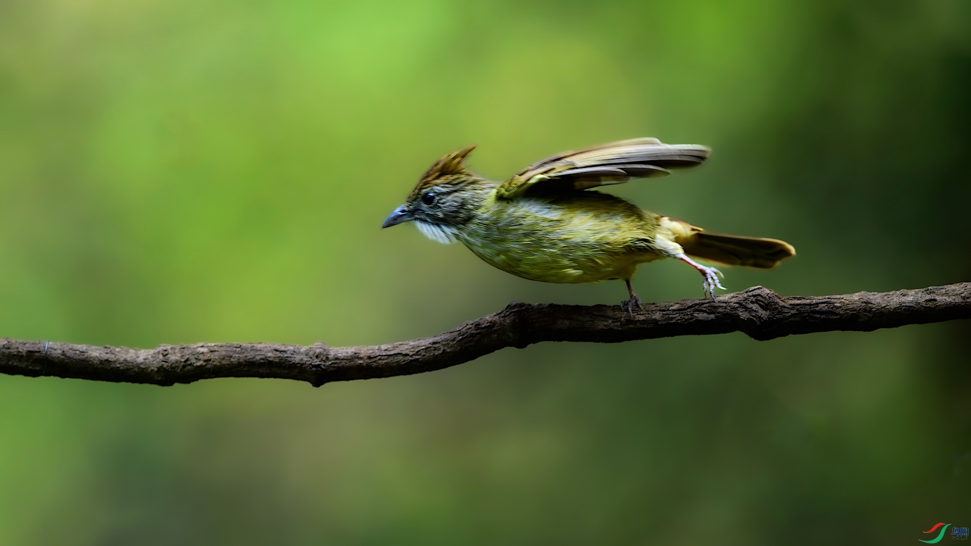 1_XXL0616-����ǿ-NR ����-1.jpeg