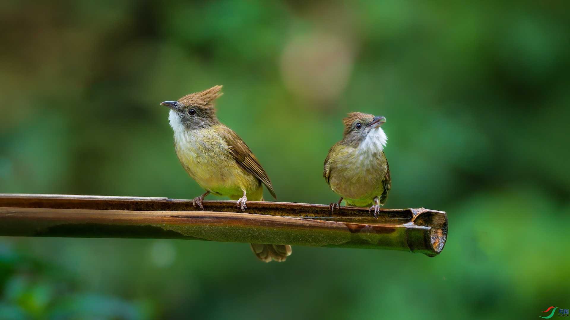 1_XXL0619 ����-1.jpeg