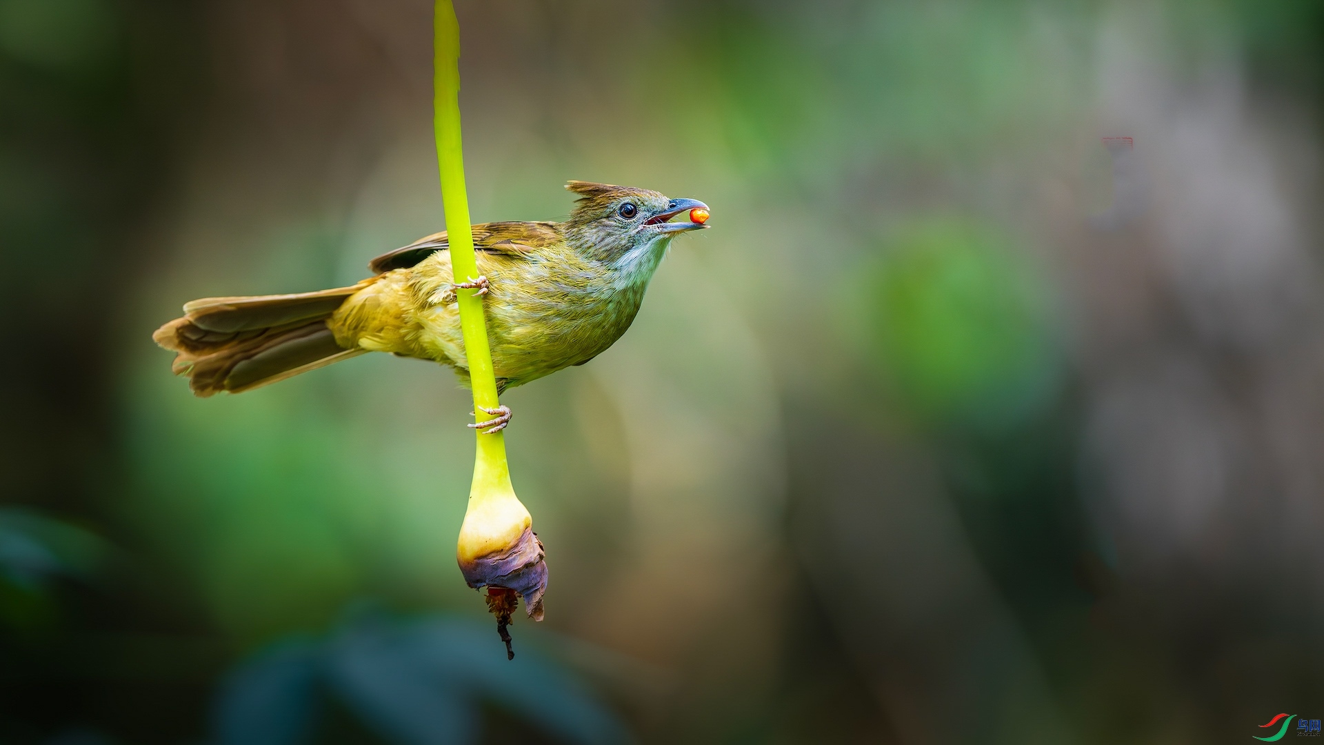 1_XXL0655-����ǿ-NR ����-1.jpeg